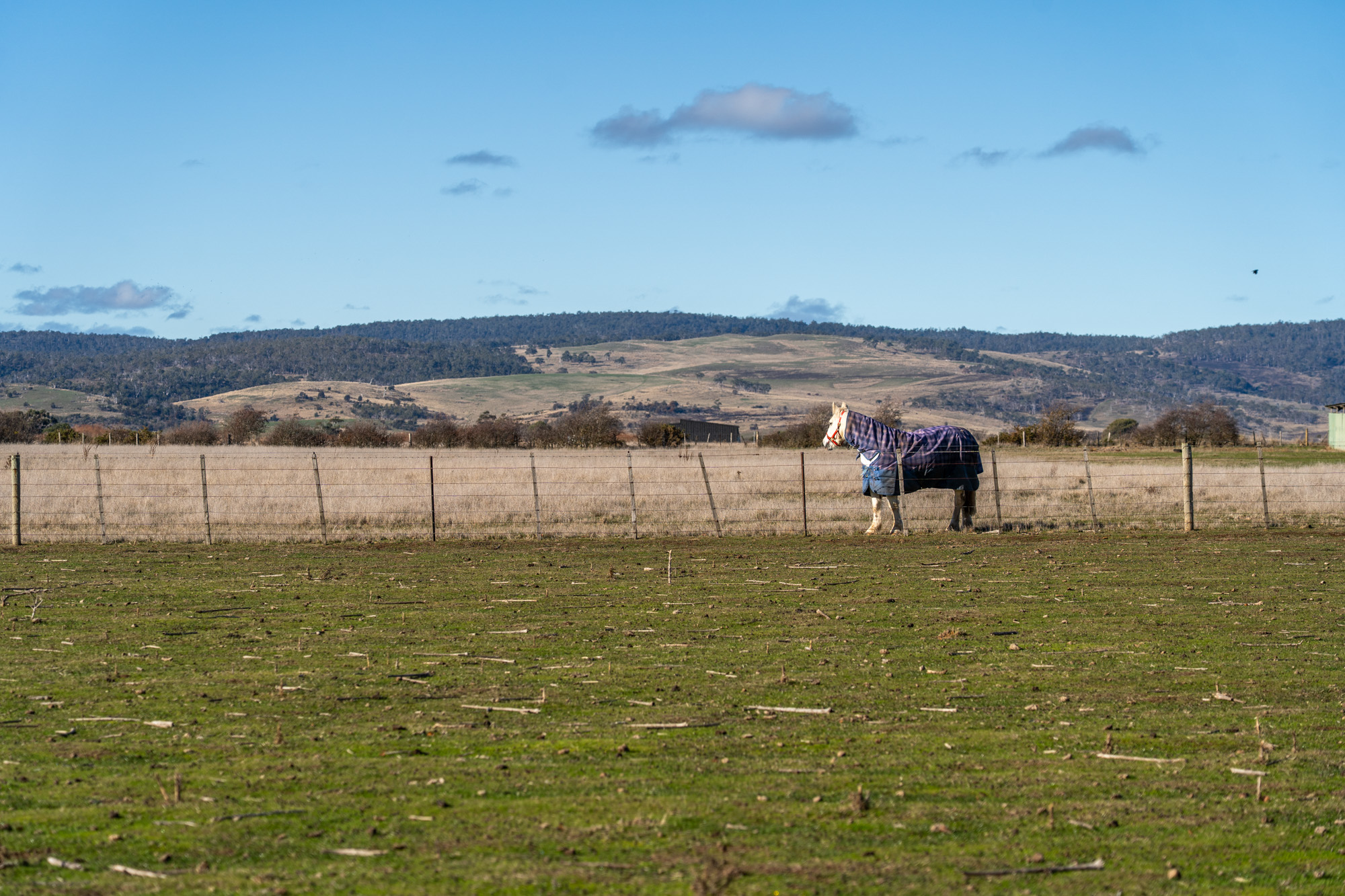 1 Bedford Street, Campbell Town