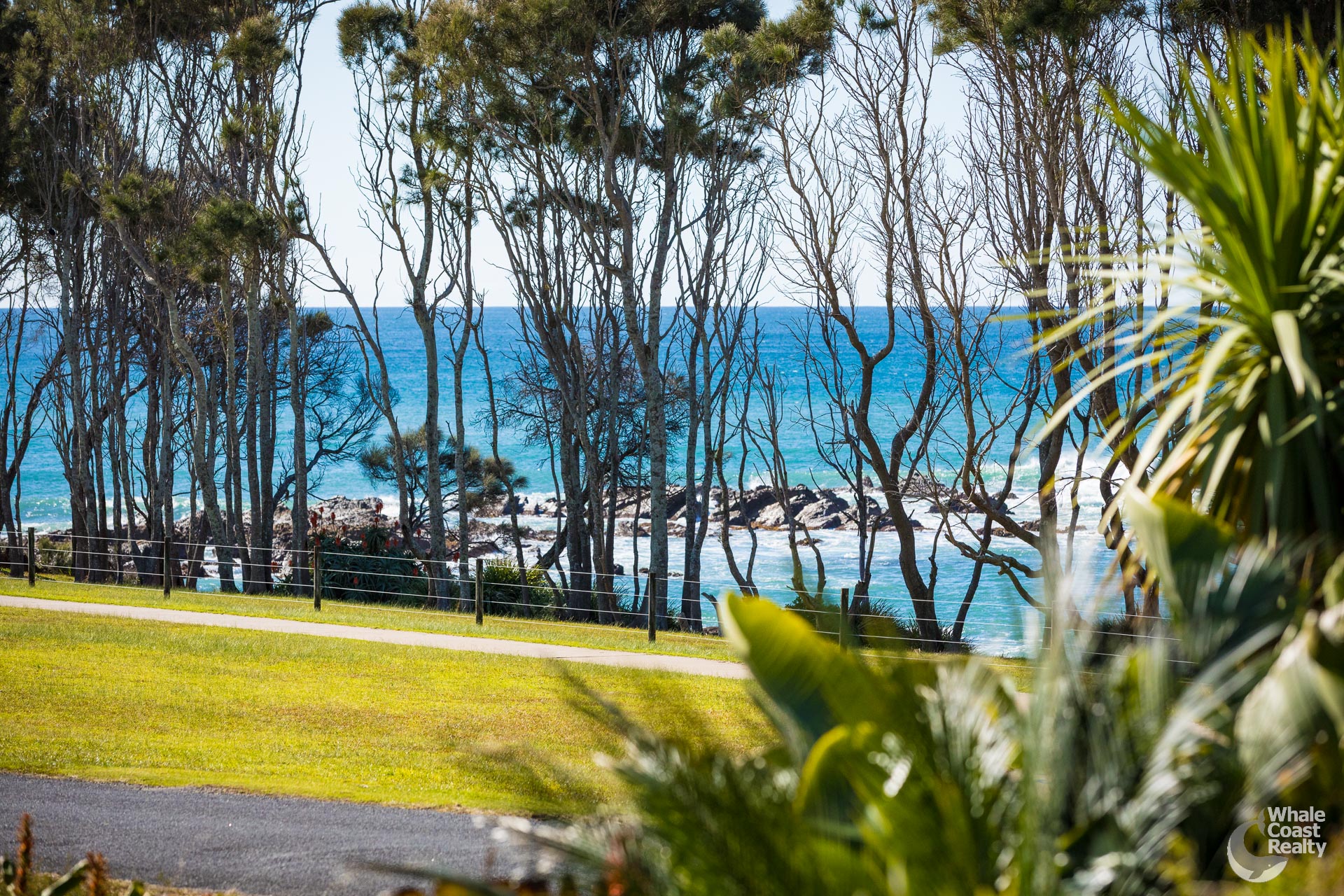 49 Mcmillan Crescent, Dalmeny