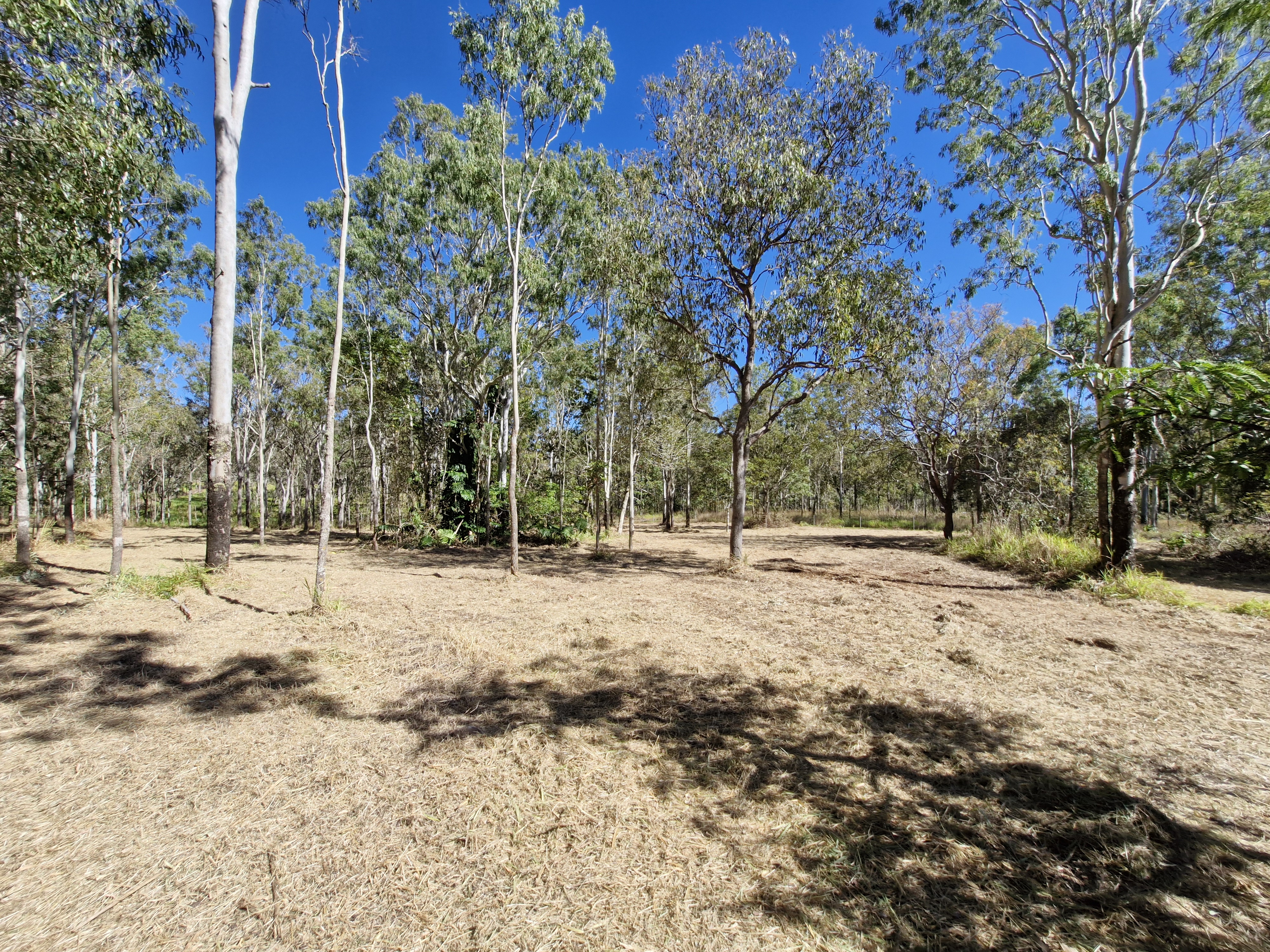 31 Palomino Avenue, Tolga