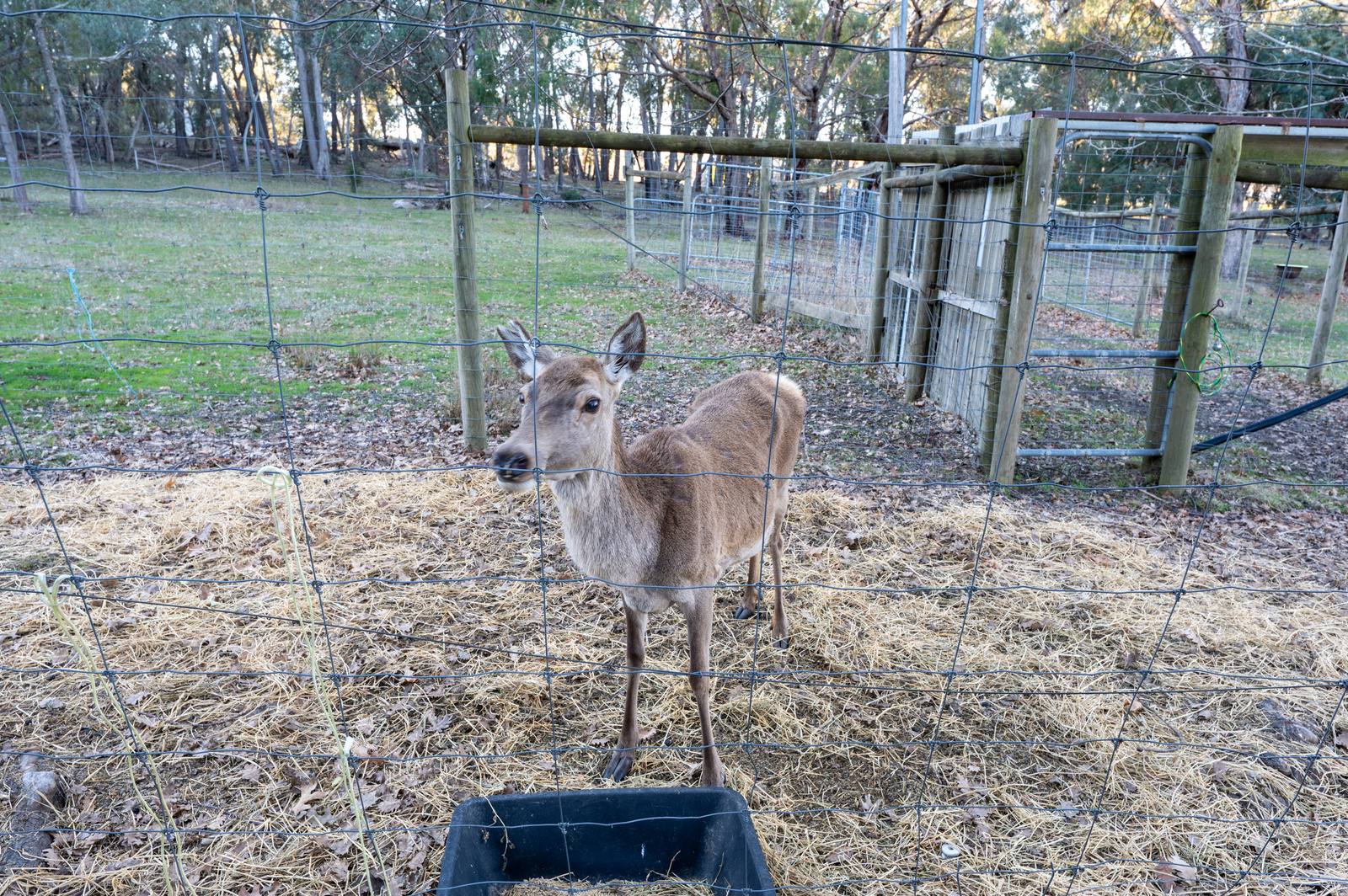338 Harpers Road, Barjarg