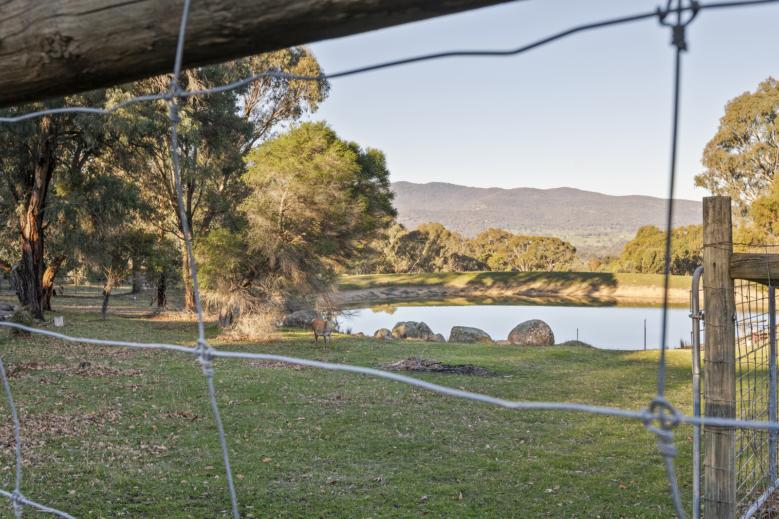 338 Harpers Road, Barjarg