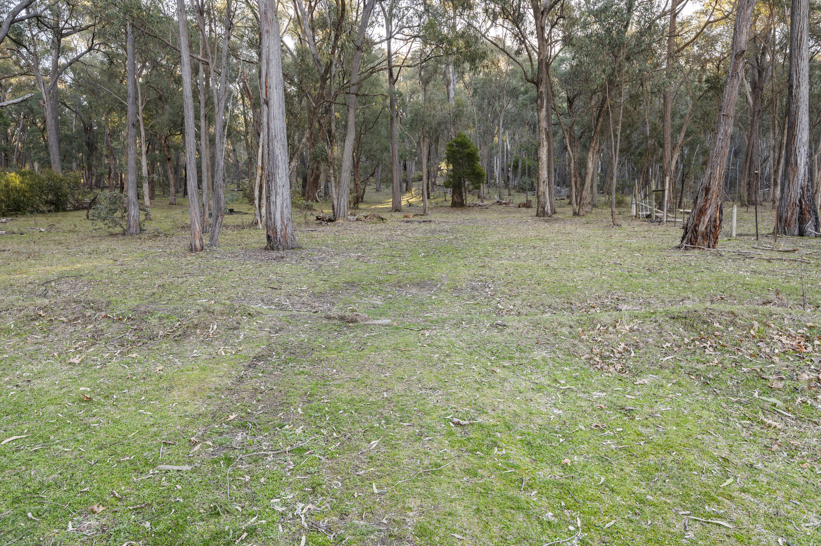 338 Harpers Road, Barjarg