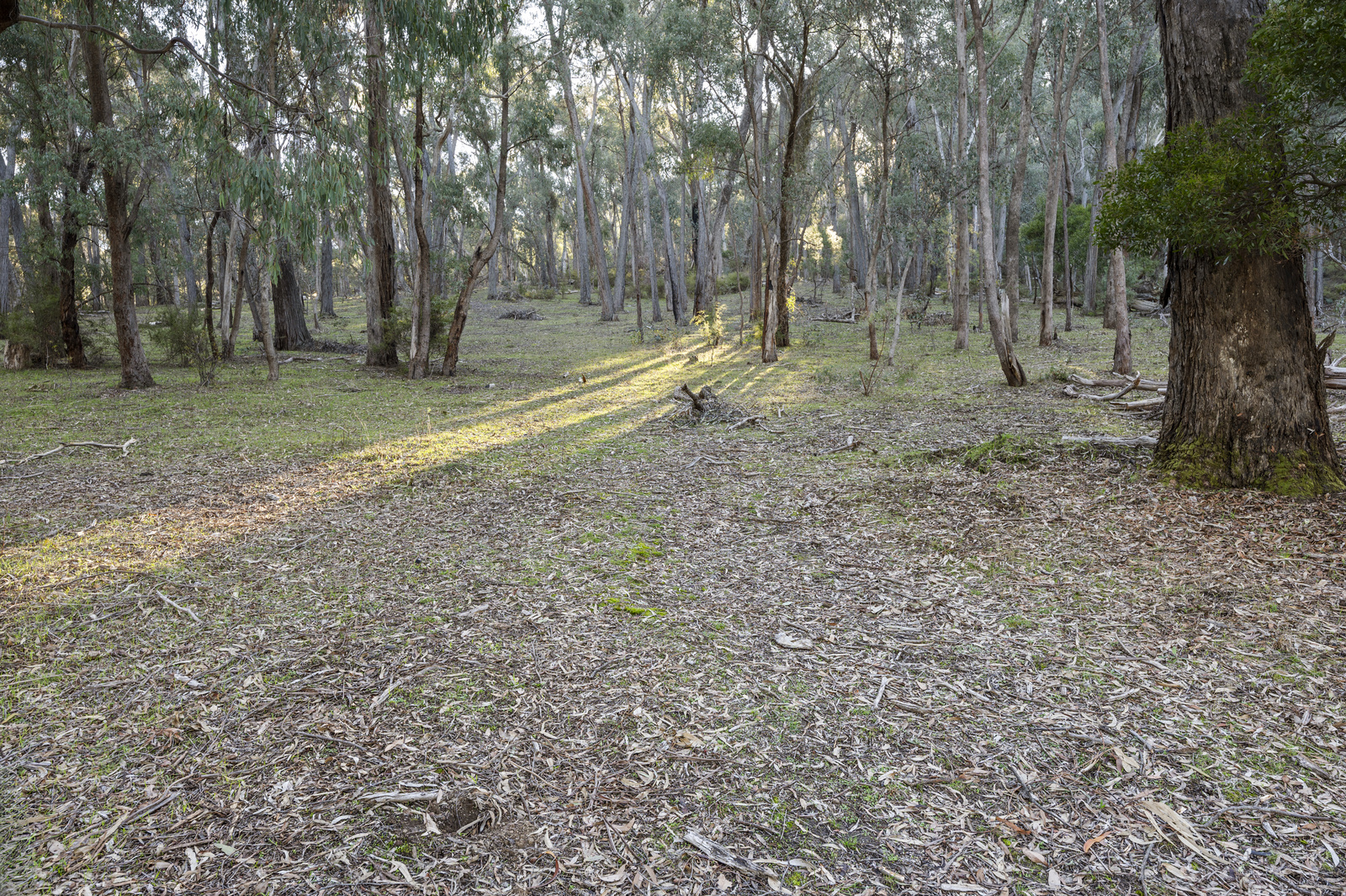 338 Harpers Road, Barjarg