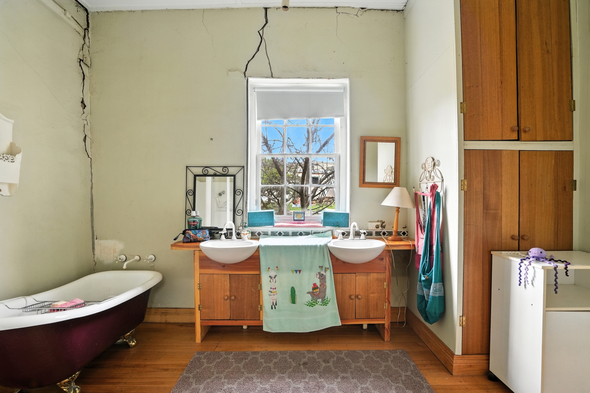 7 George Street, Hamilton