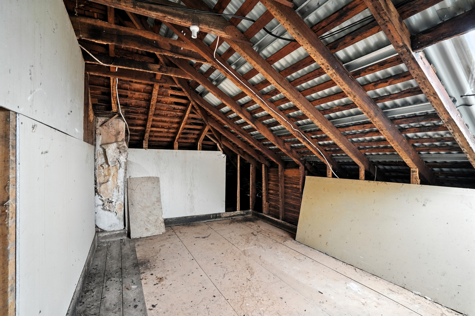 7 George Street, Hamilton