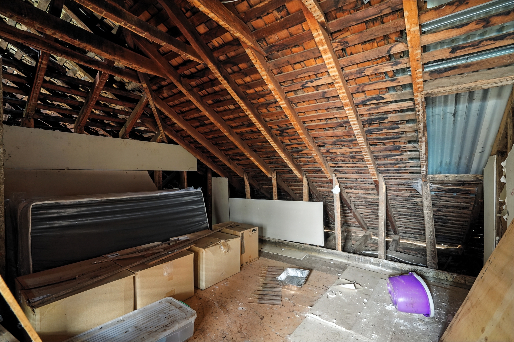 7 George Street, Hamilton