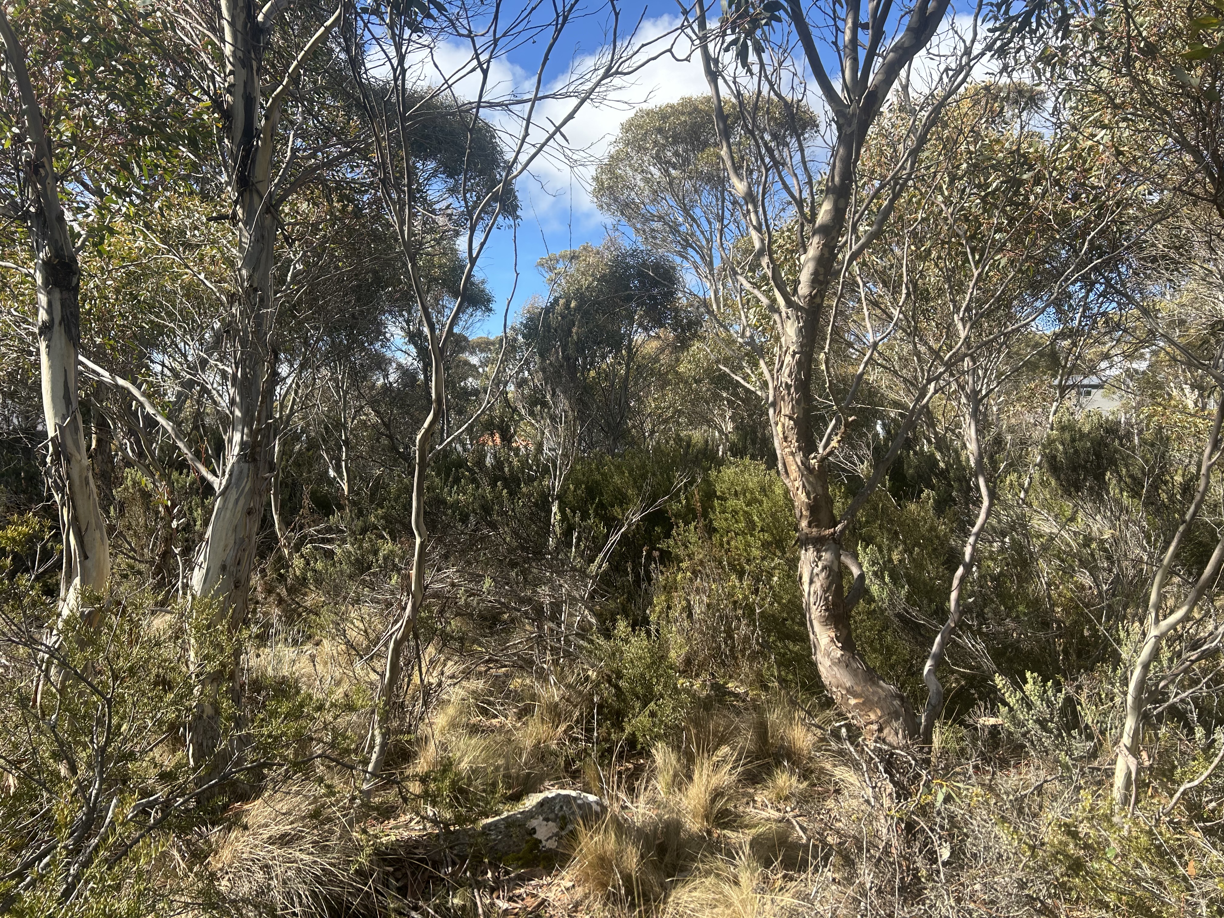 42 Fleming Drive, Miena