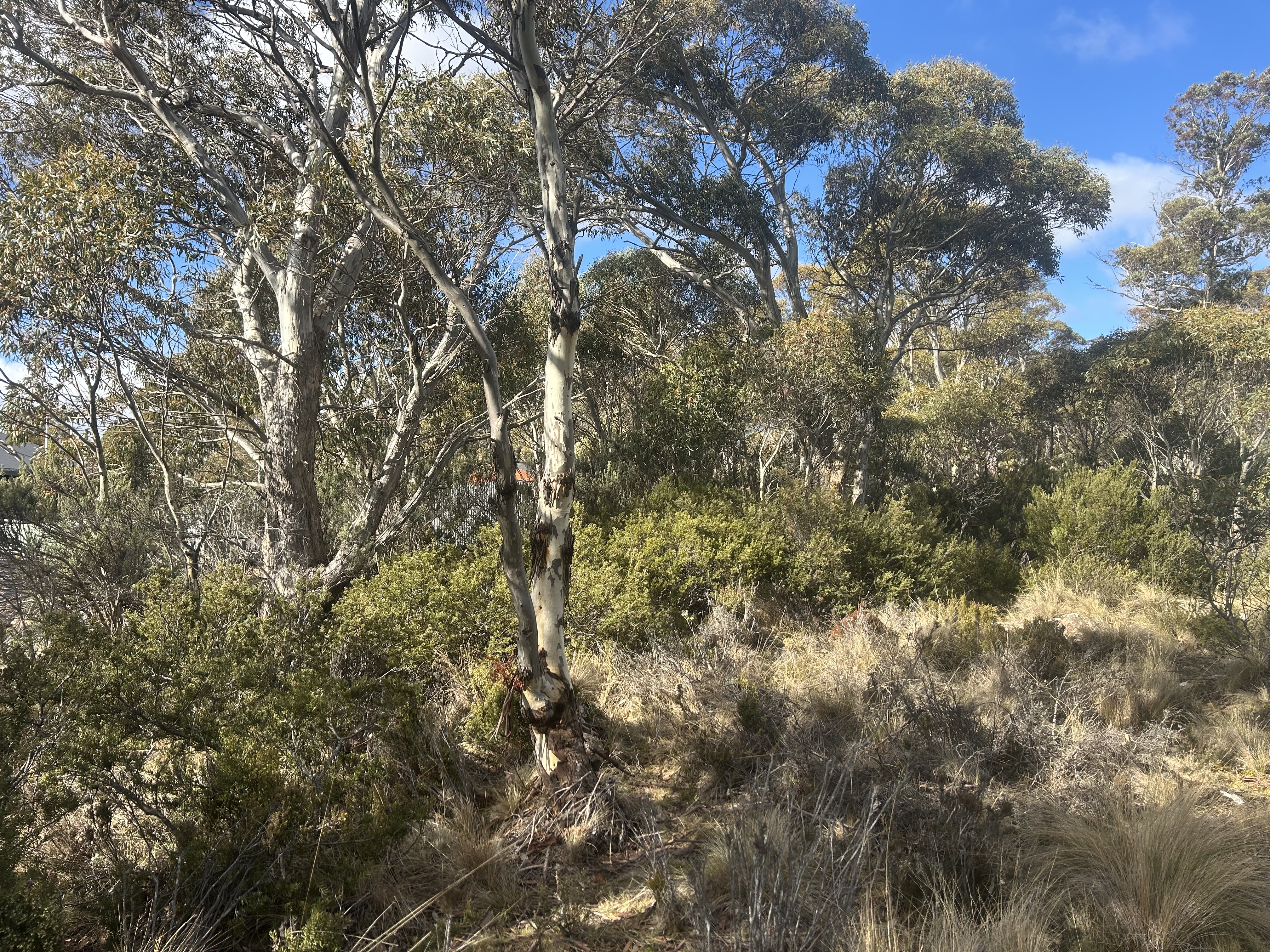 42 Fleming Drive, Miena