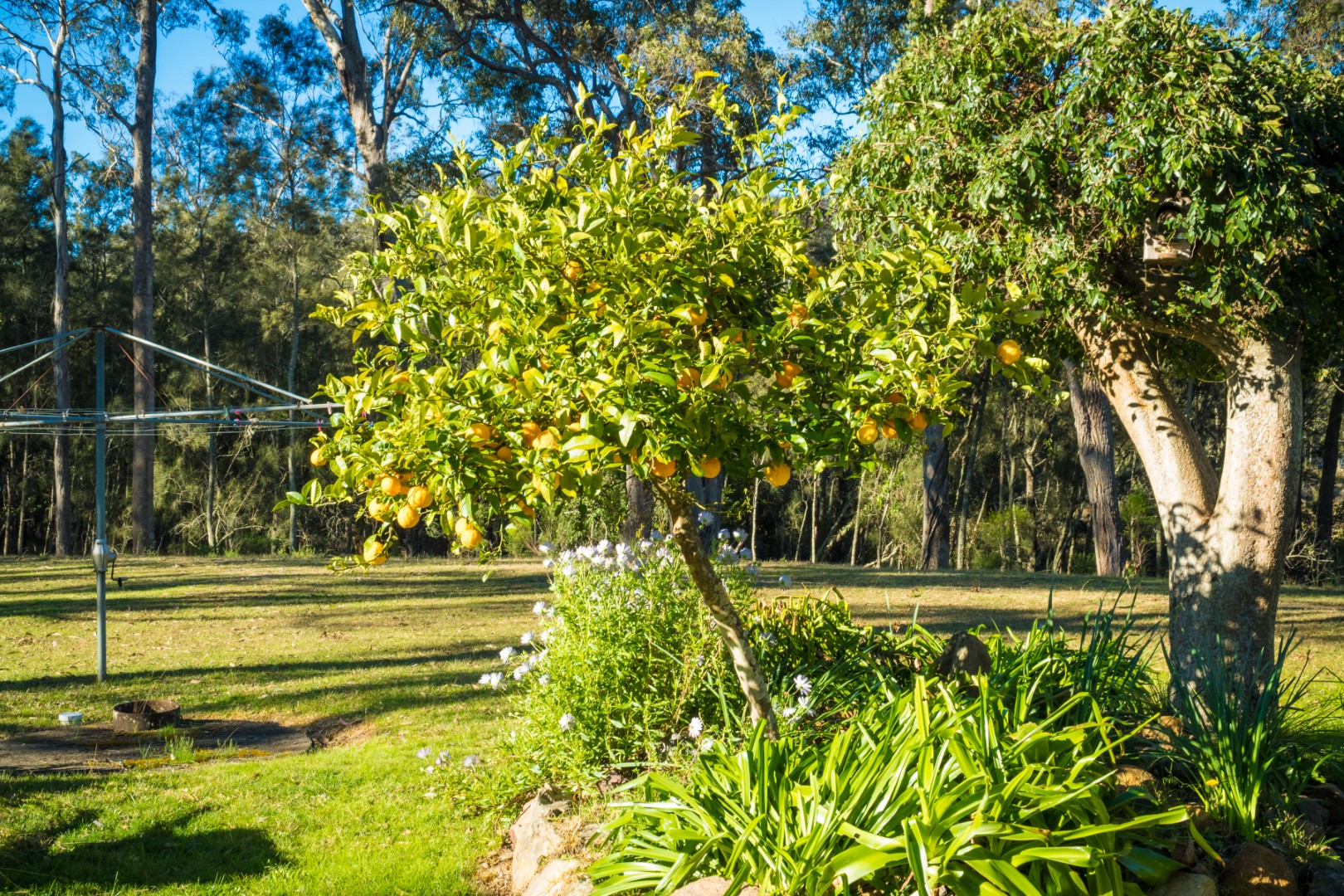 950 Wagonga Scenic Drive, Narooma