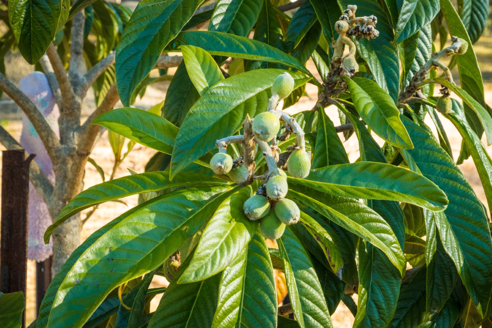 950 Wagonga Scenic Drive, Narooma