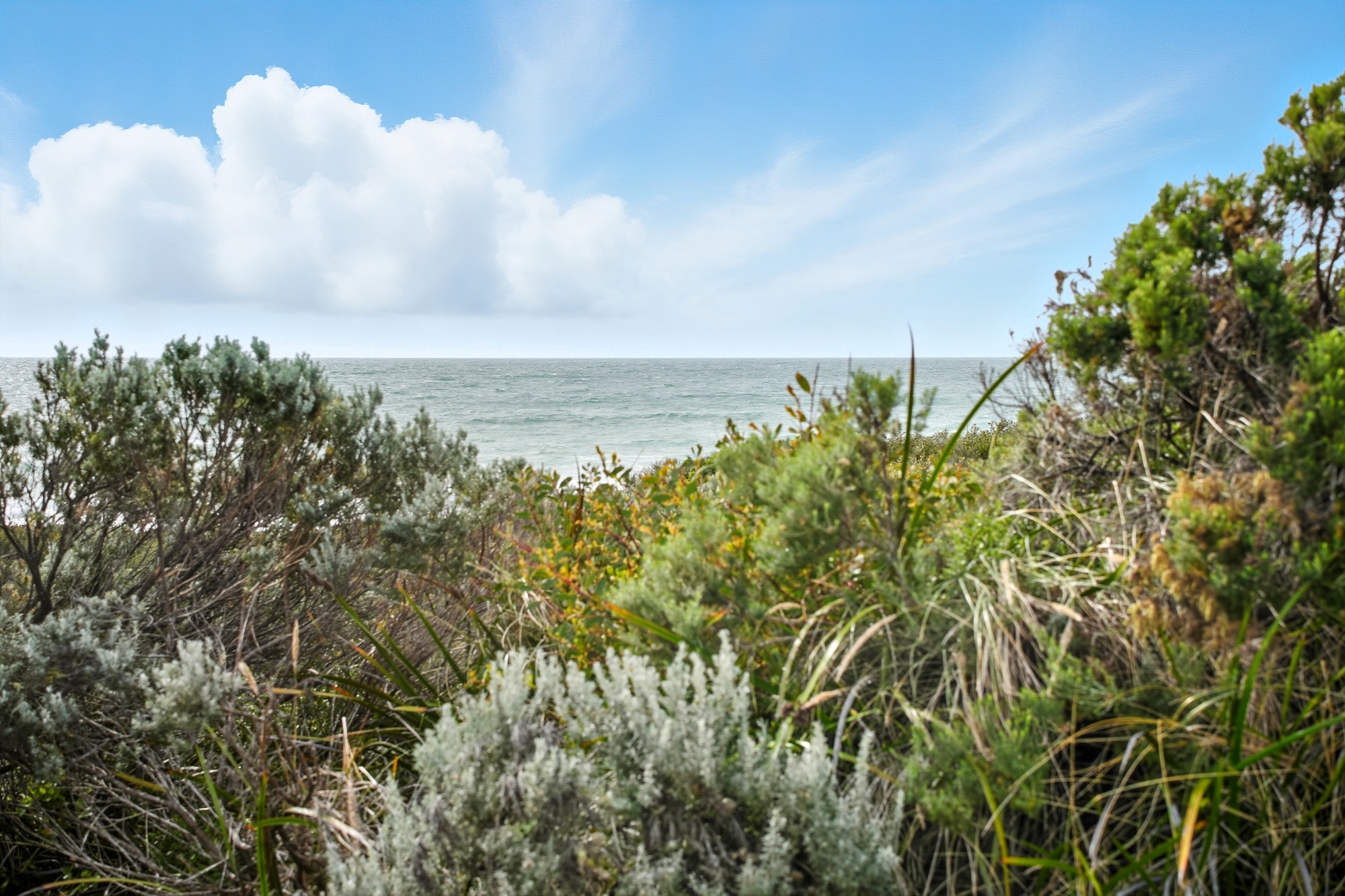 11 Mariner Court, Low Head