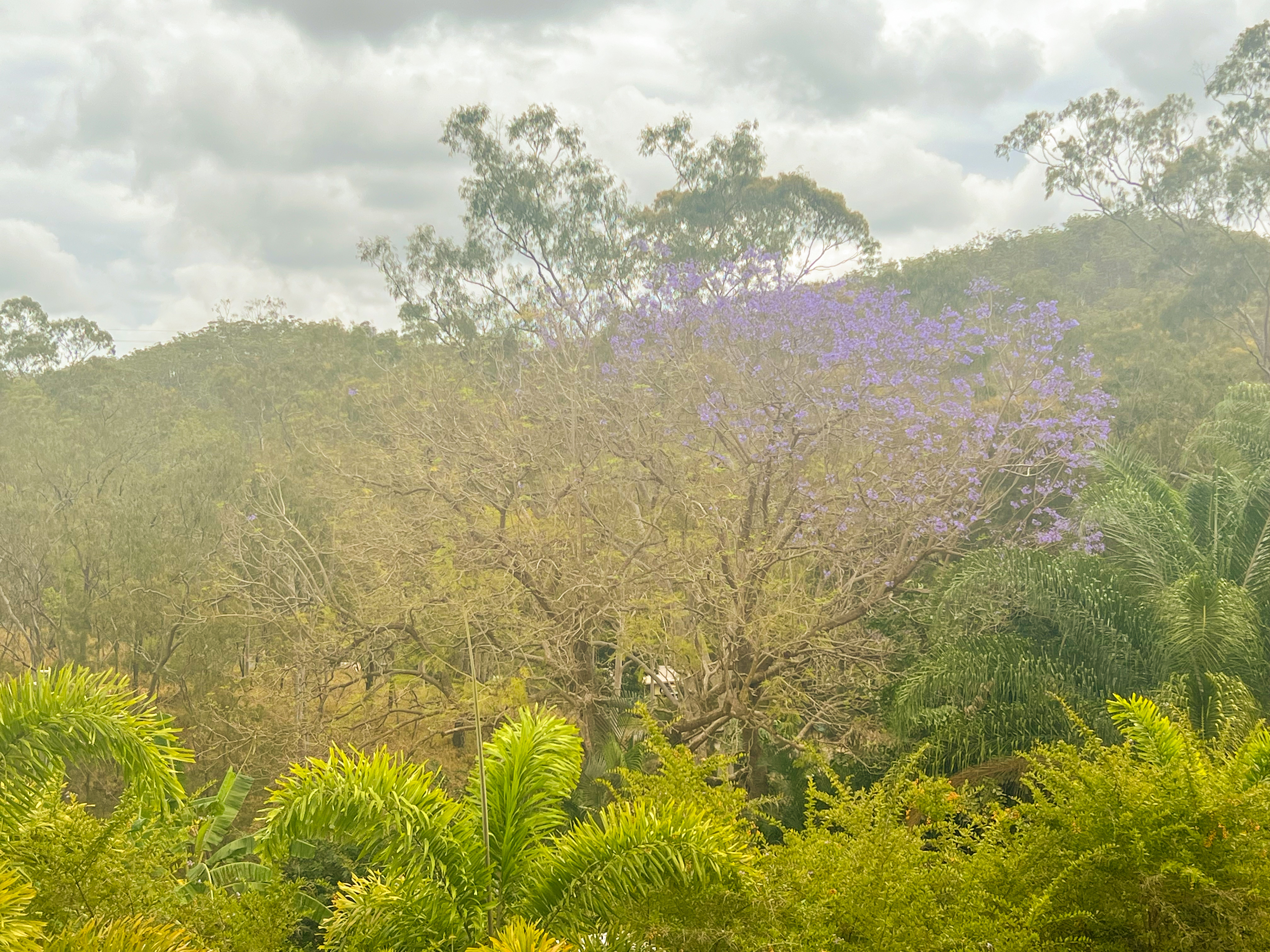 2558 Herberton-Petford Road, Irvinebank