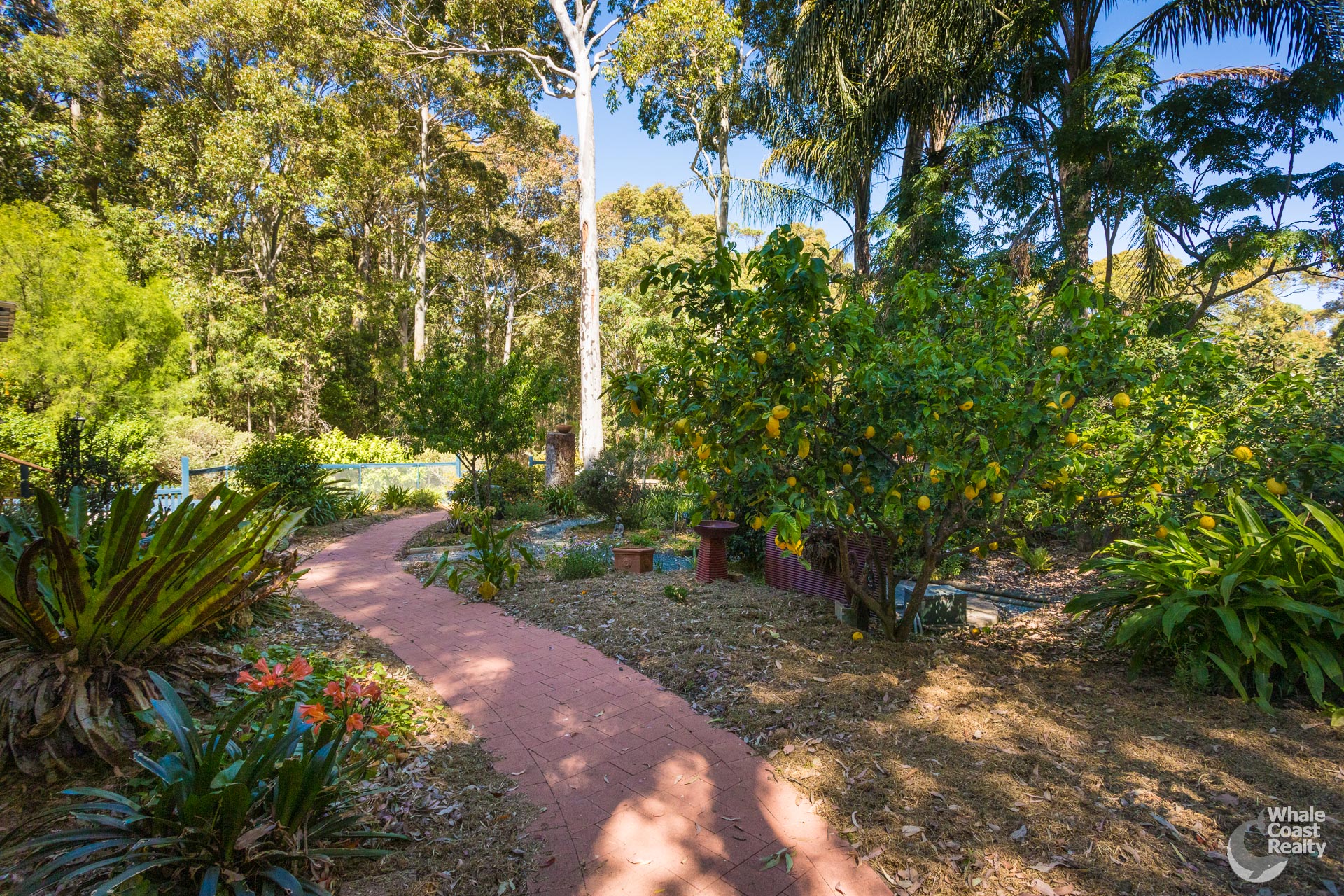 14 Reader Place, Mystery Bay