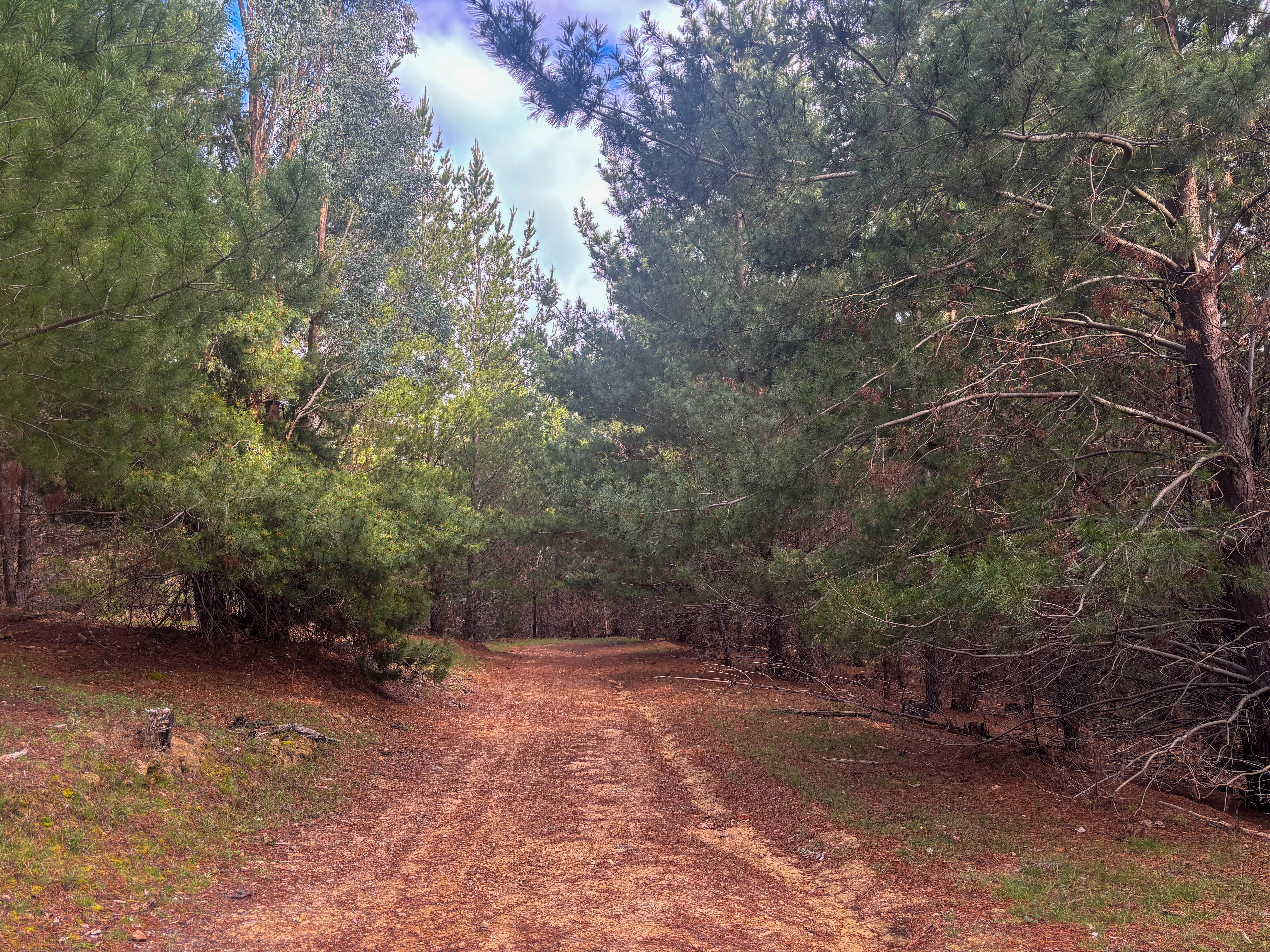 259 Hells Hole Creek Road, Bonnie Doon