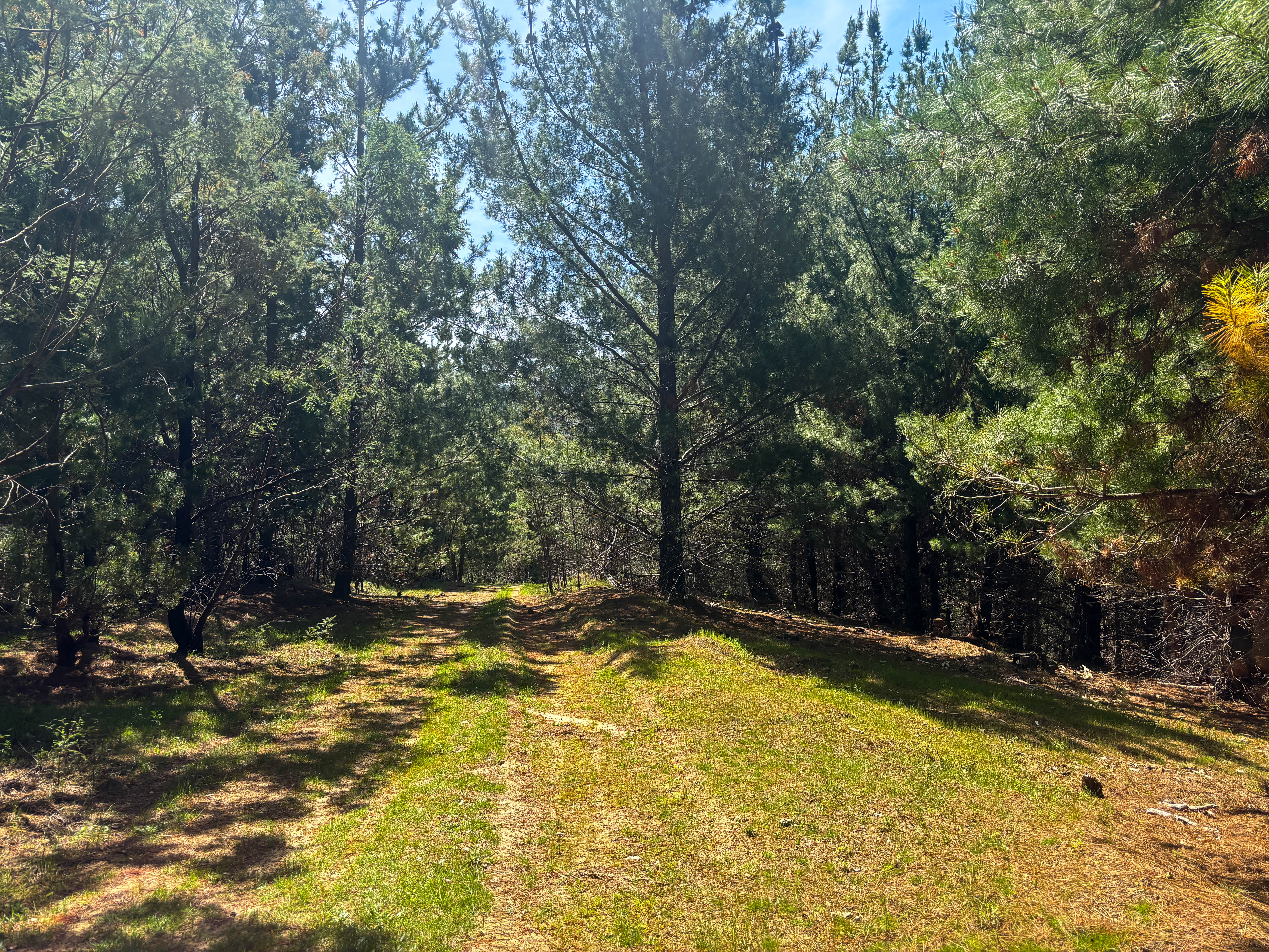 259 Hells Hole Creek Road, Bonnie Doon