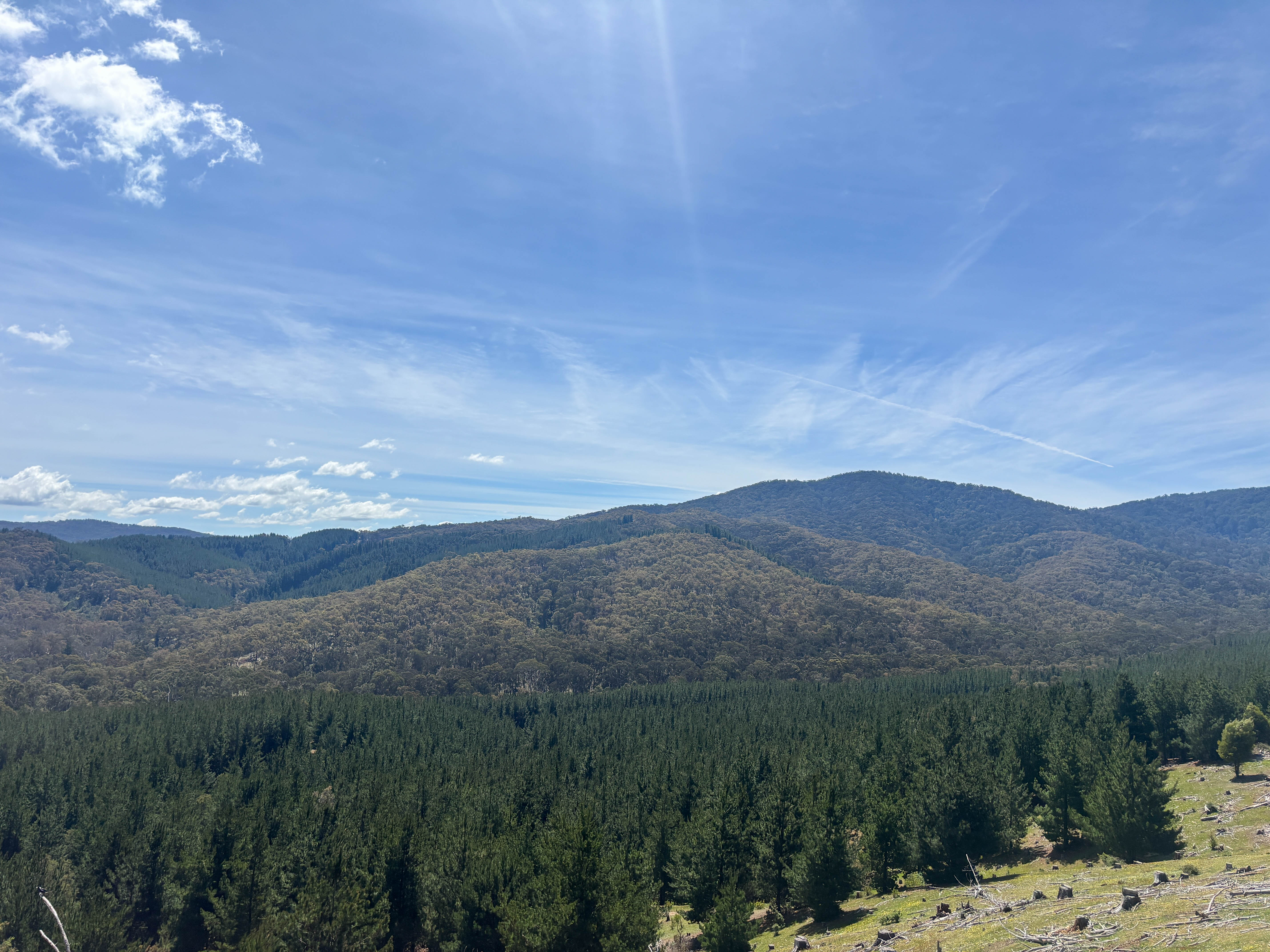 259 Hells Hole Creek Road, Bonnie Doon