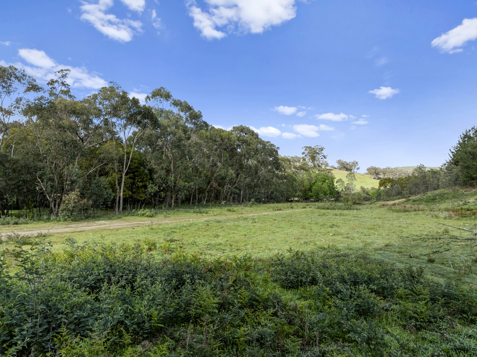 259 Hells Hole Creek Road, Bonnie Doon