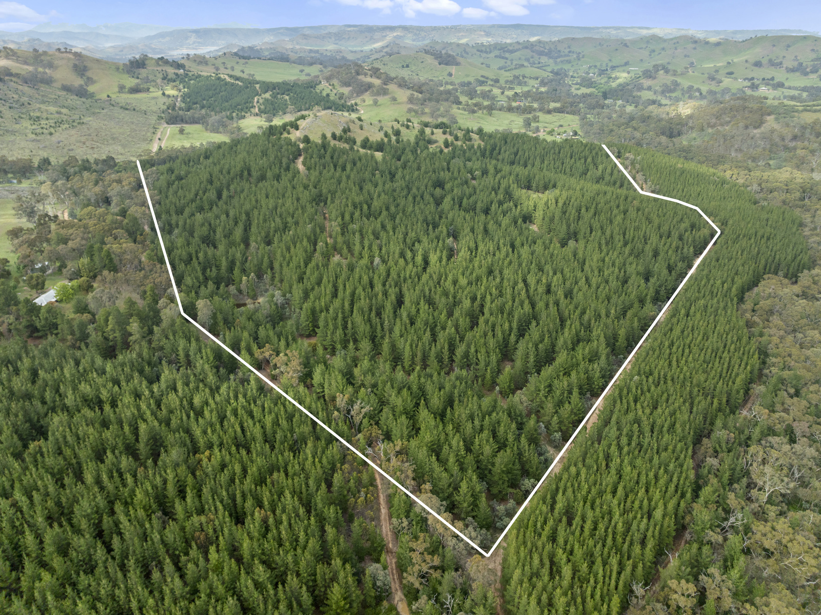 259 Hells Hole Creek Road, Bonnie Doon