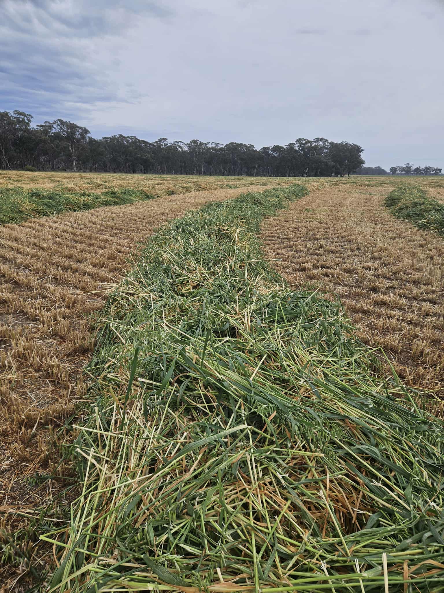 000 Lower Norton-Nurrabiel Road, Lower Norton