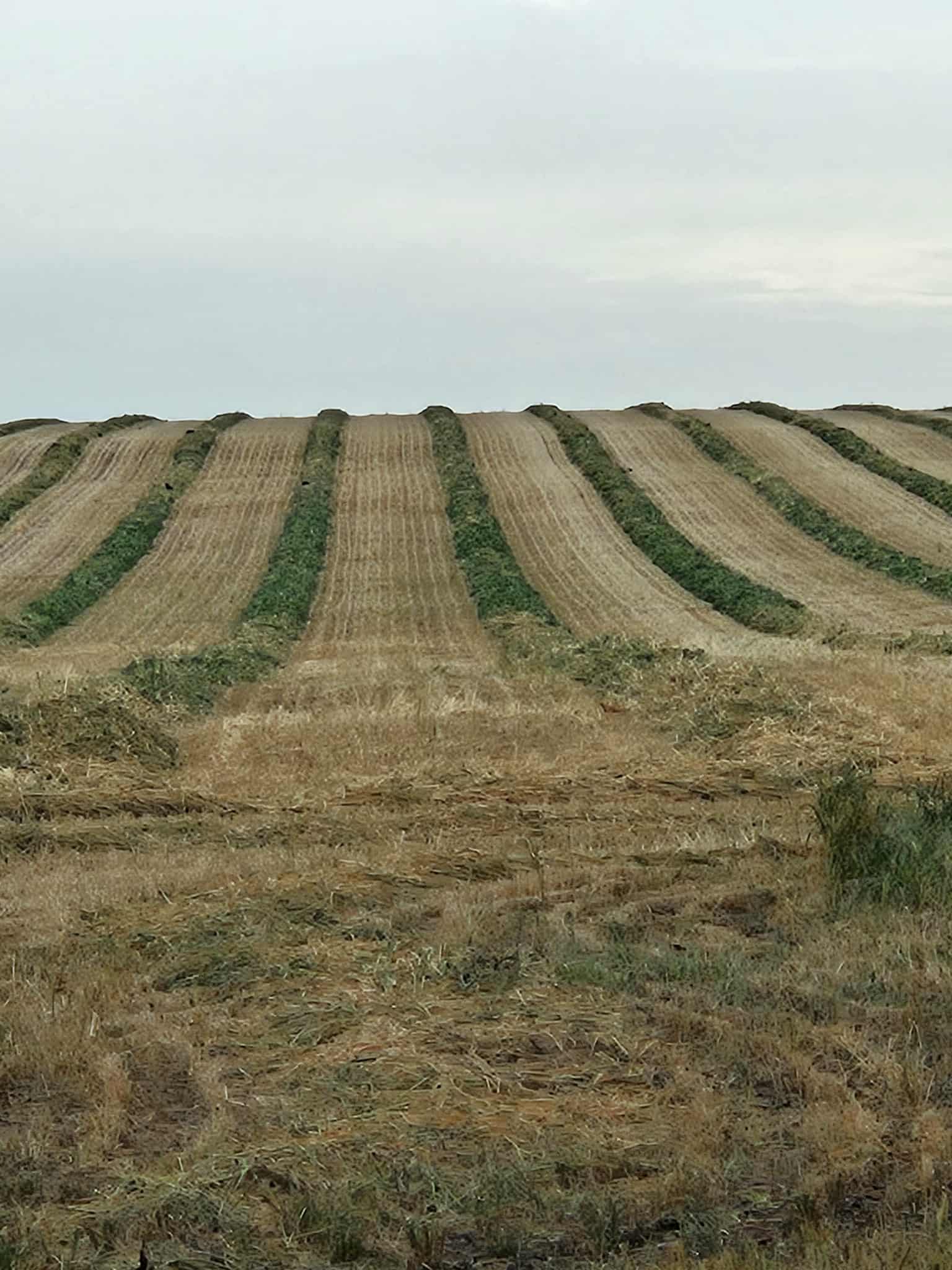 000 Lower Norton-Nurrabiel Road, Lower Norton