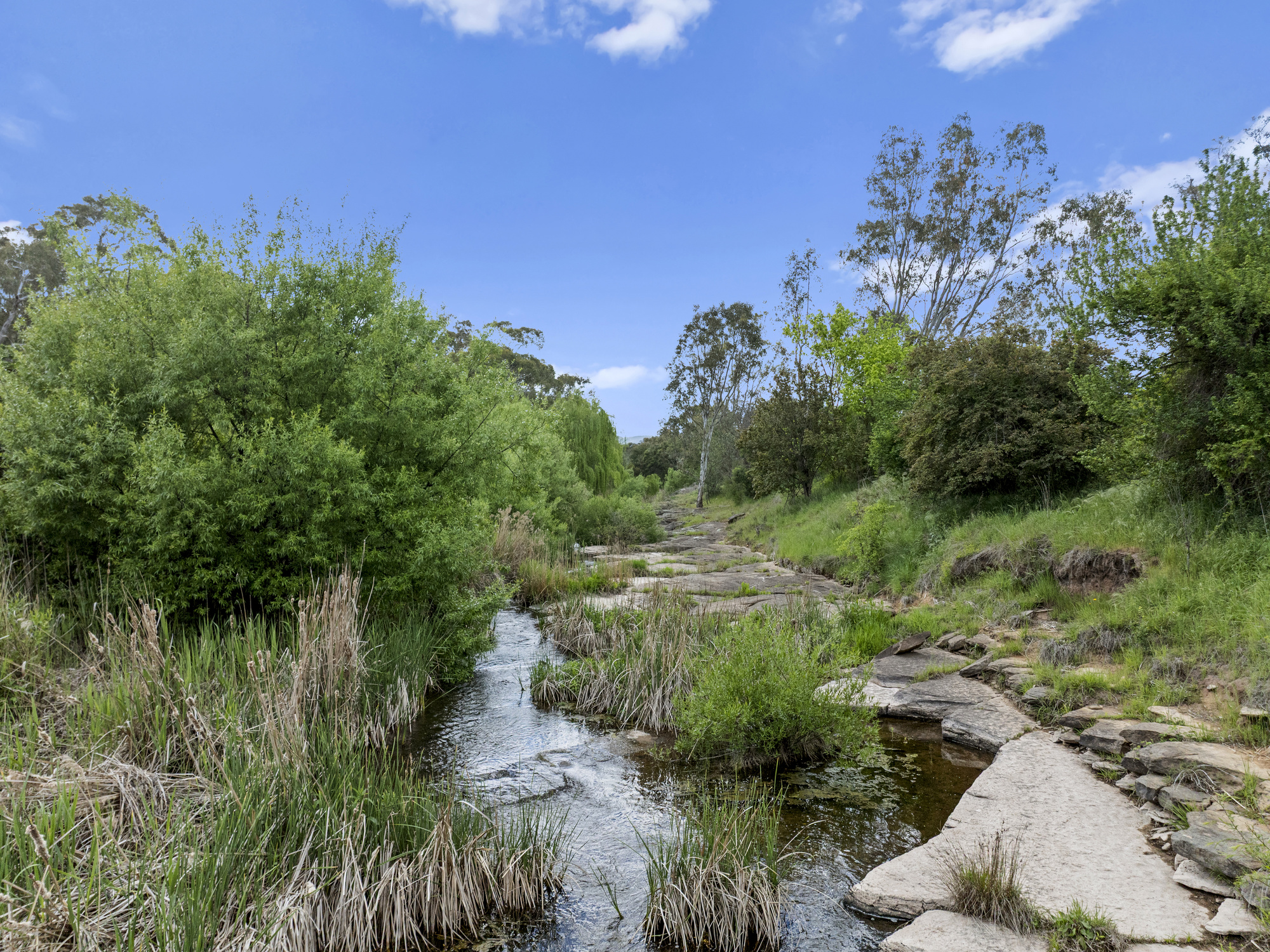 560 Old Tolmie Road, Mansfield