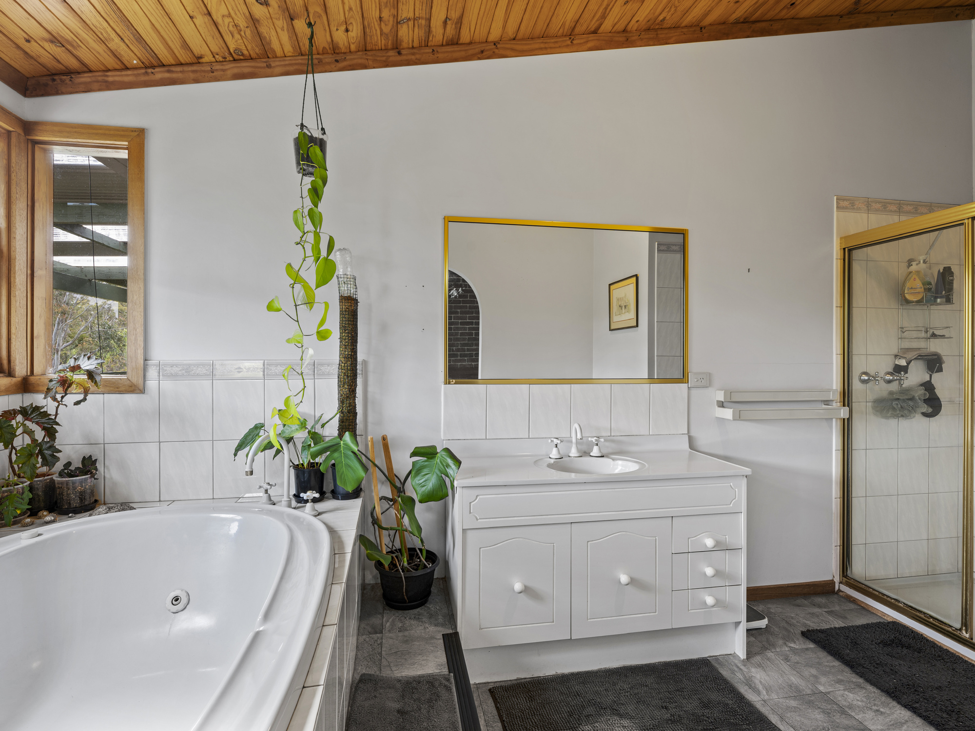 560 Old Tolmie Road, Mansfield