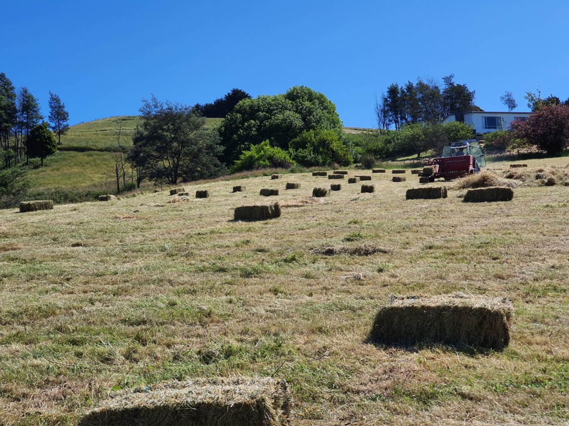 157 Beasleys Road, Frankford