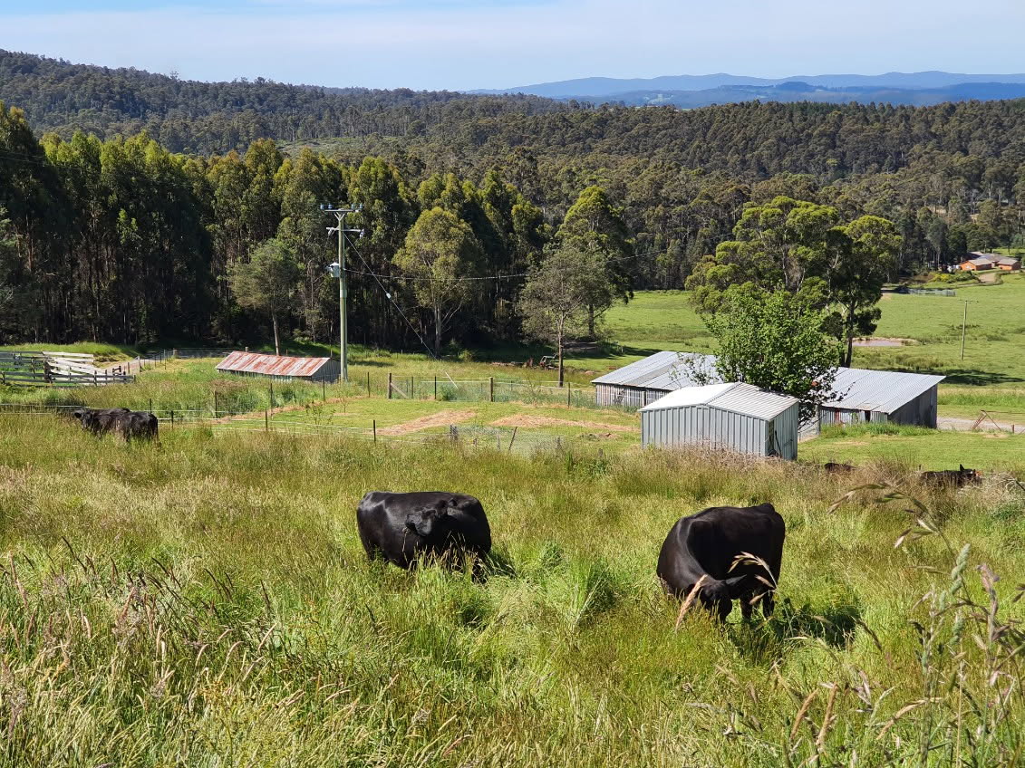 157 Beasleys Road, Frankford