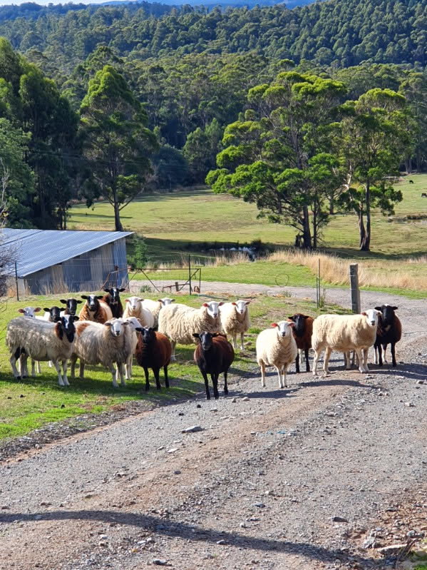 157 Beasleys Road, Frankford