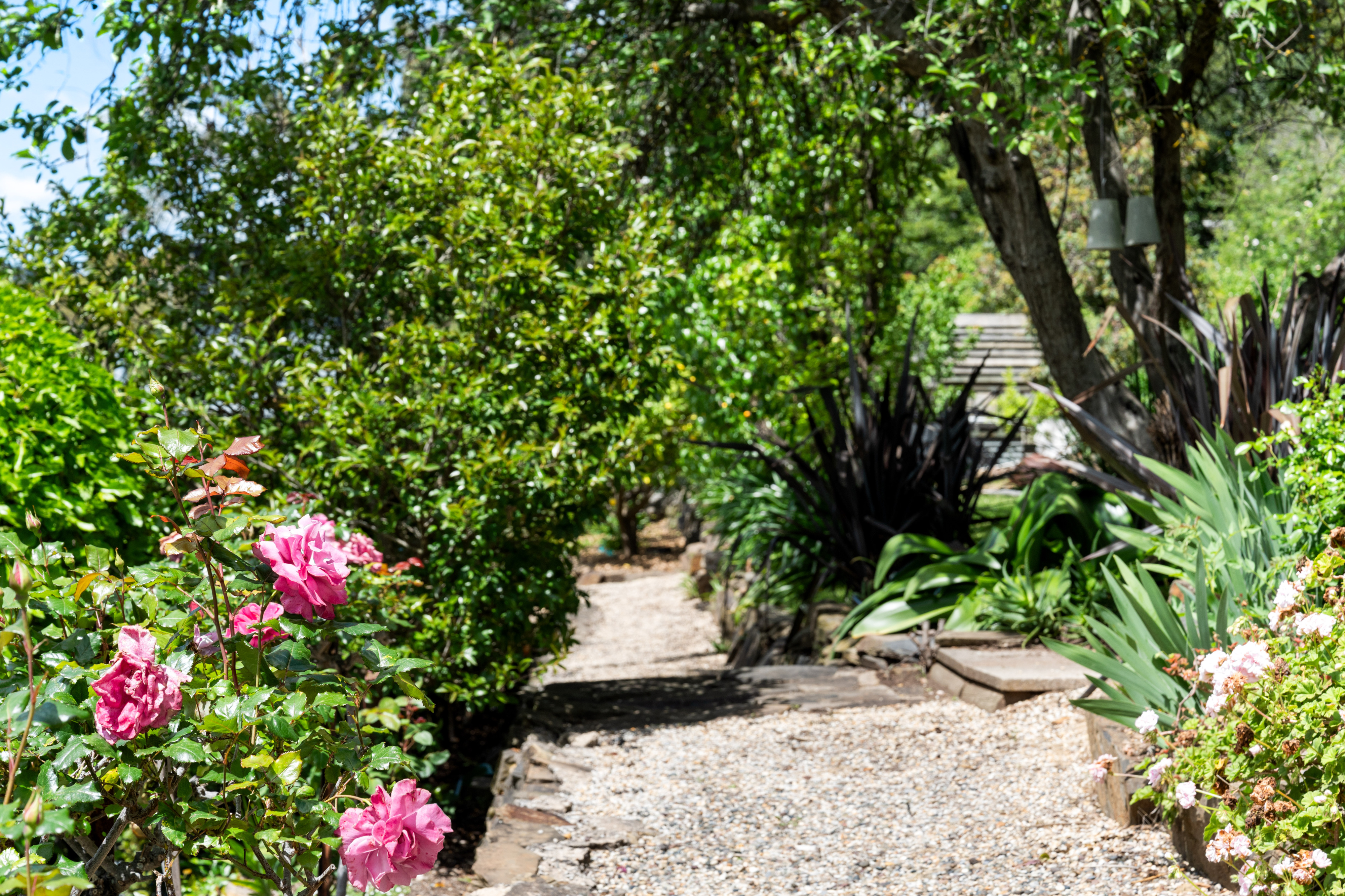 40 Winns Road, Coromandel Valley