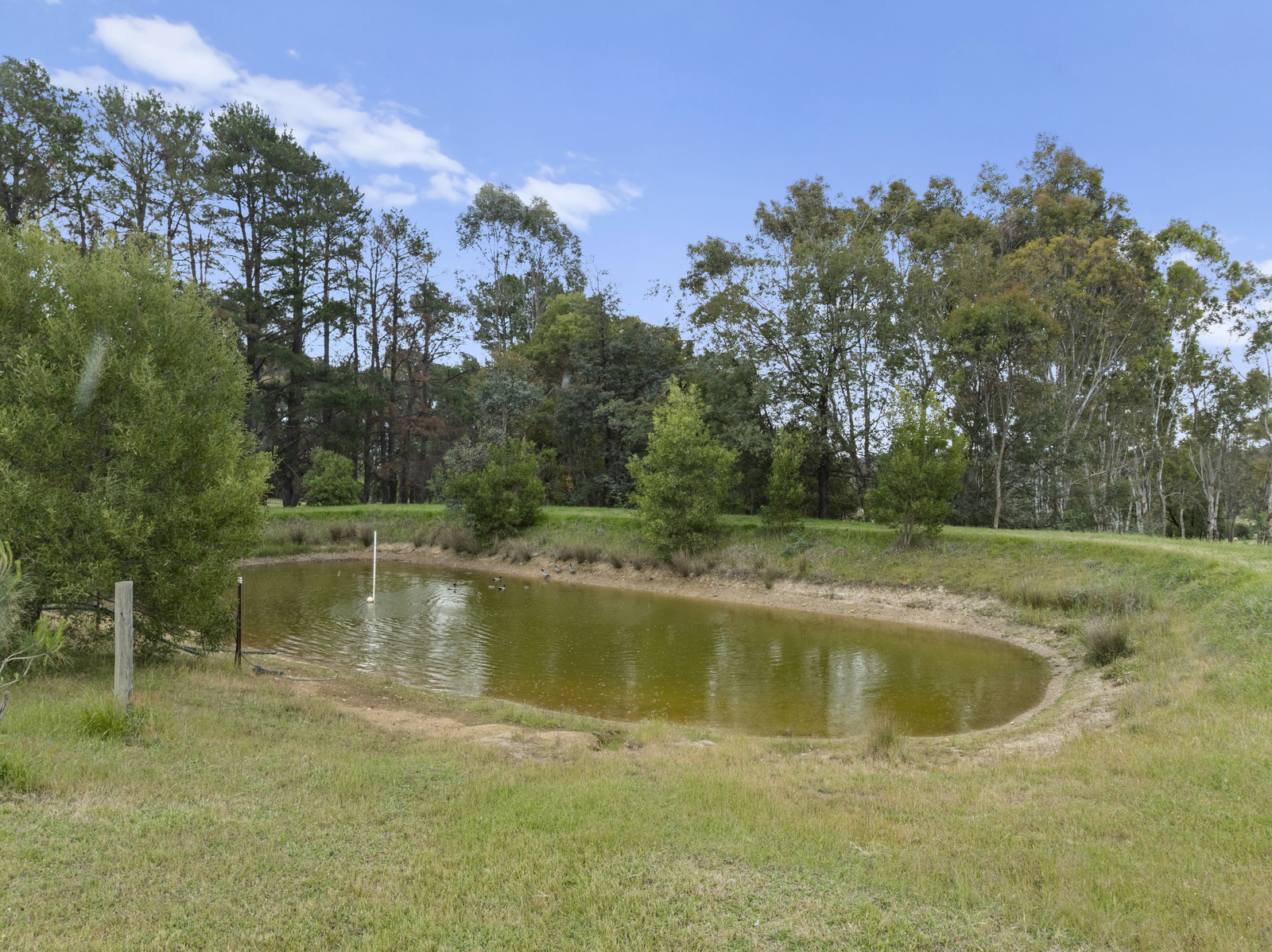 228 Gandini Lane, Lima East