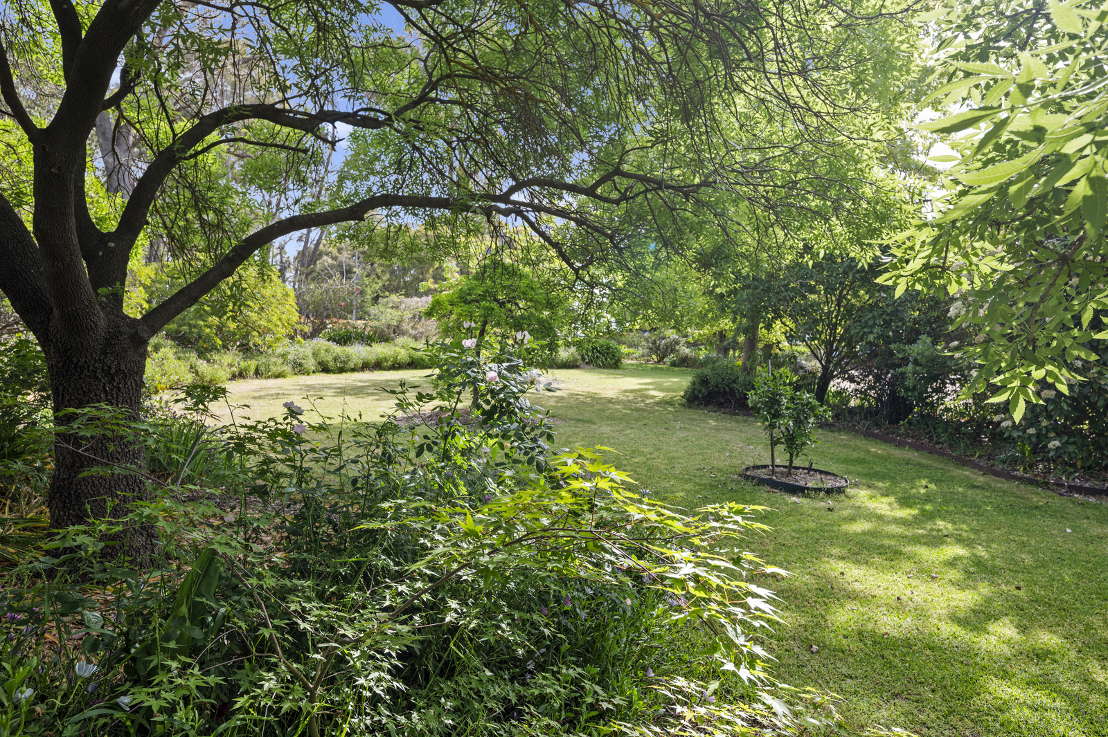 228 Gandini Lane, Lima East