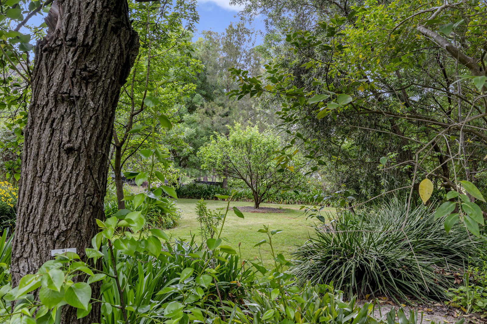 228 Gandini Lane, Lima East