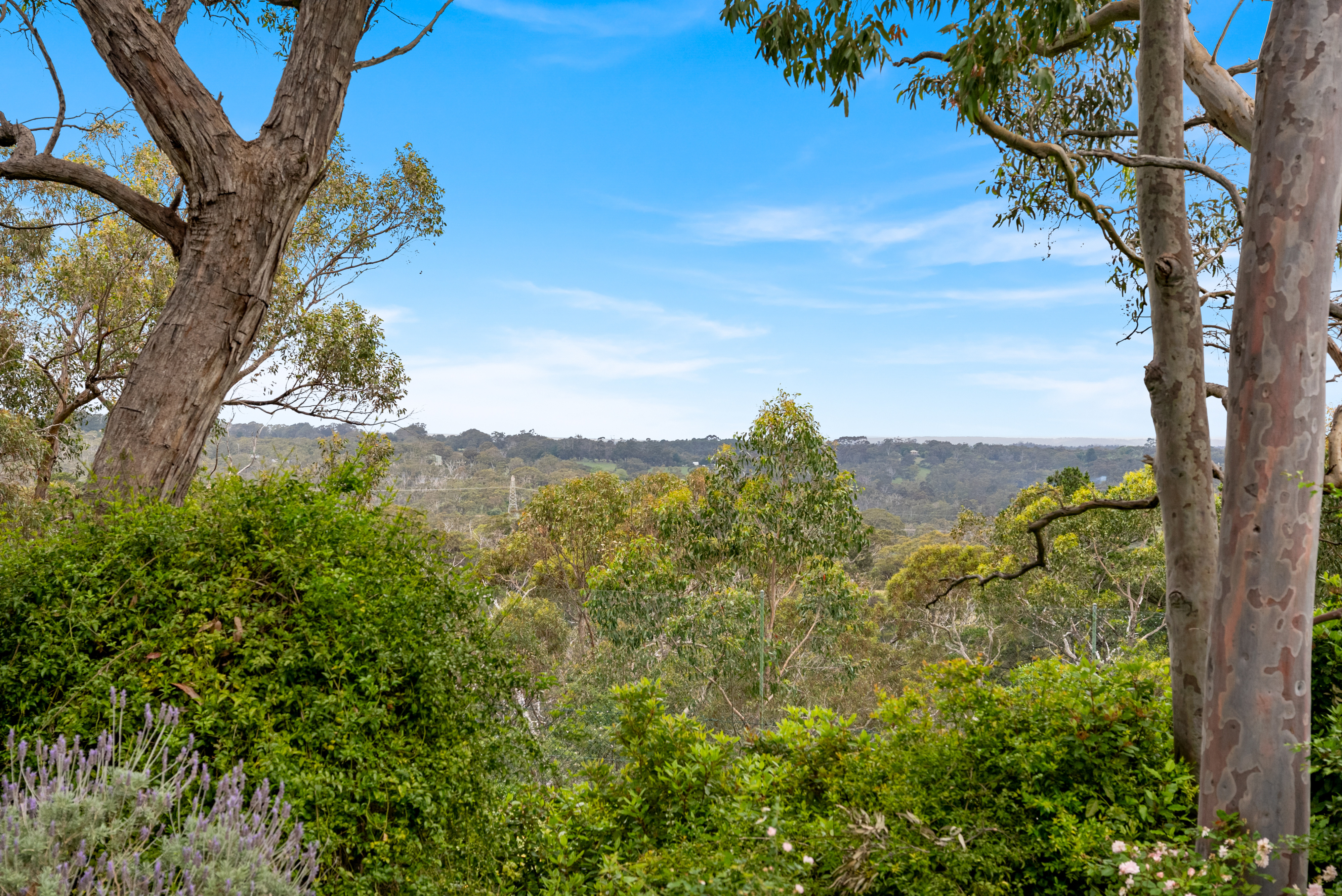 264 Ackland Hill Road, Coromandel East