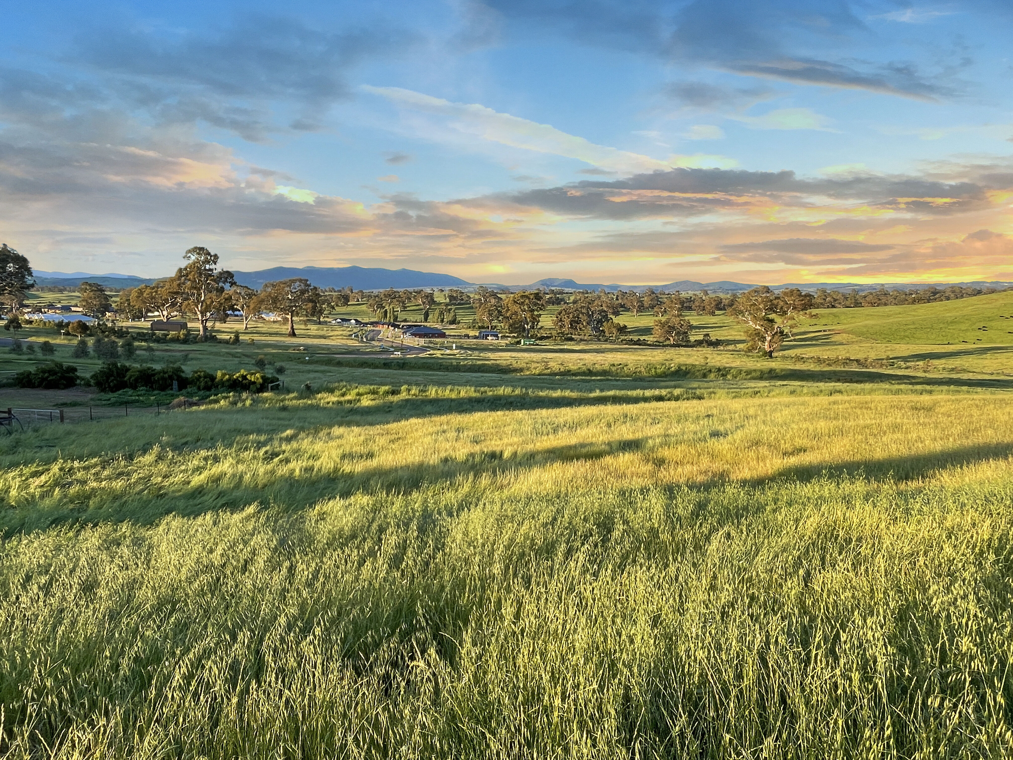 69 Donovans Way, Mansfield