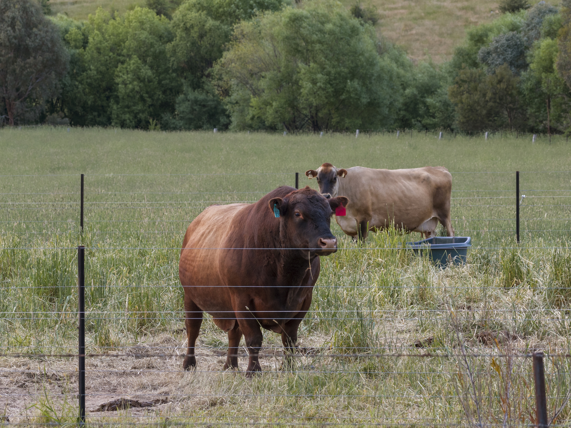 123 Graves Road, Mansfield