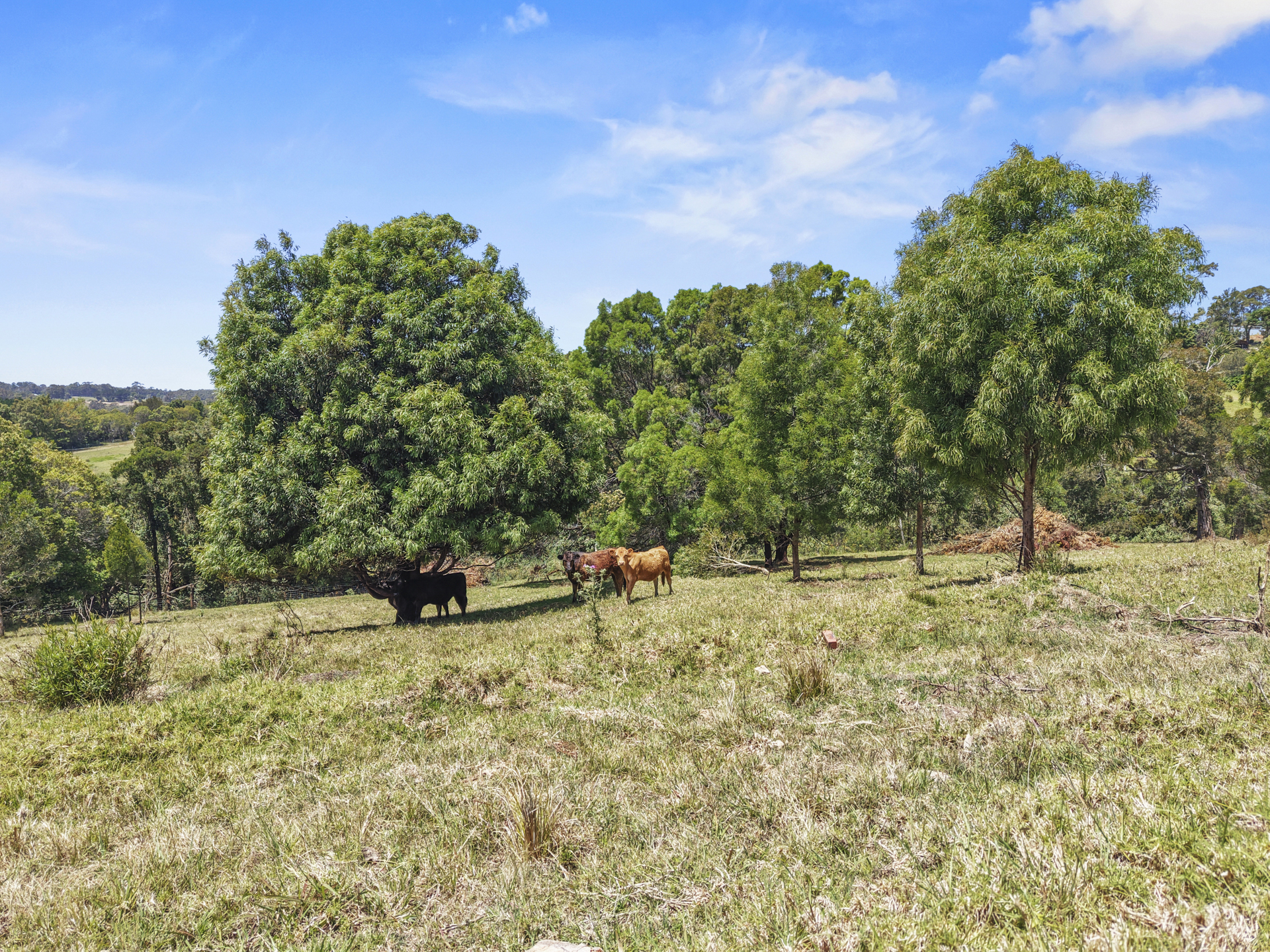 107 Lilyvale Place, Narooma