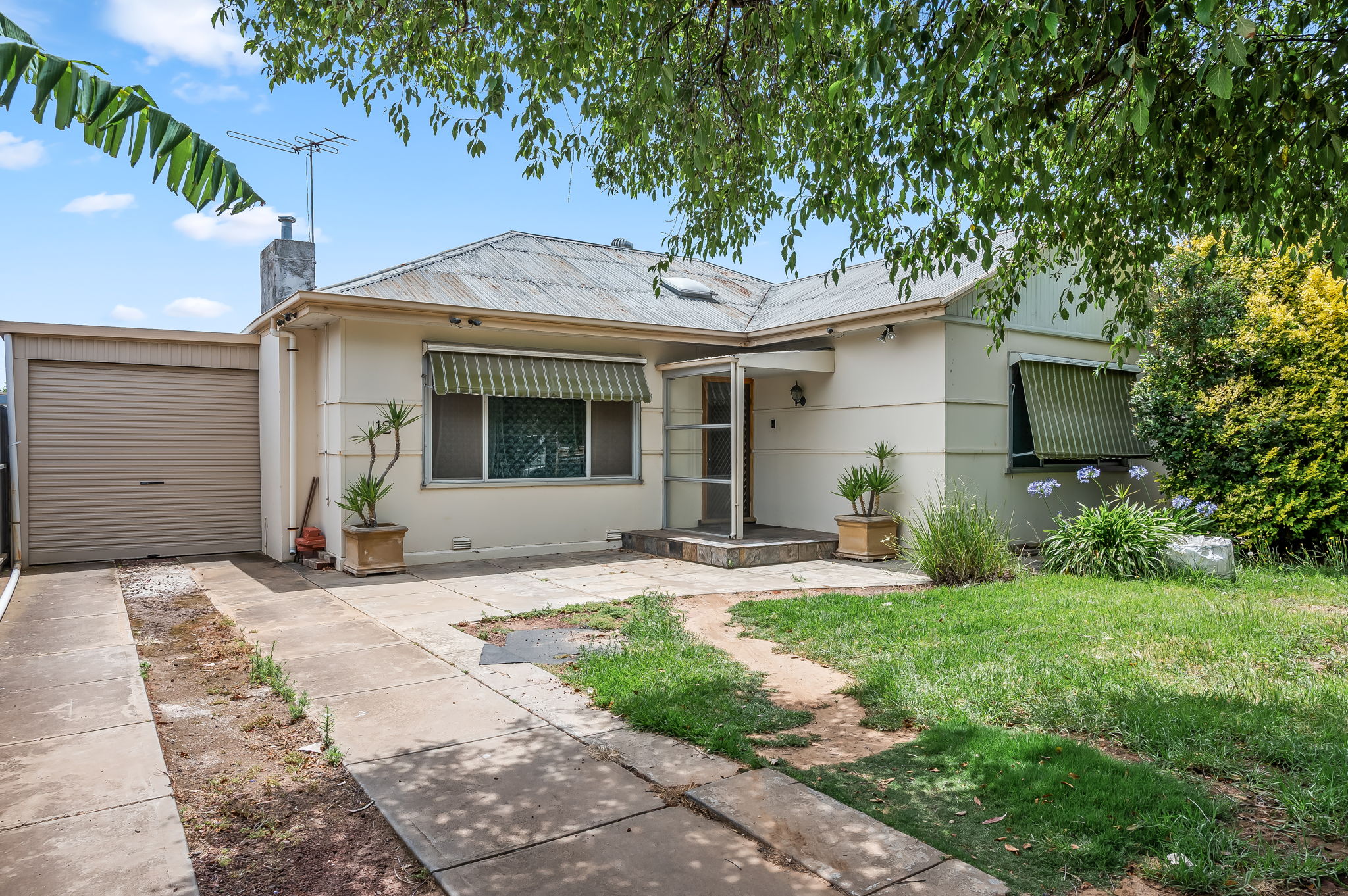 12 Milton Avenue, Clearview