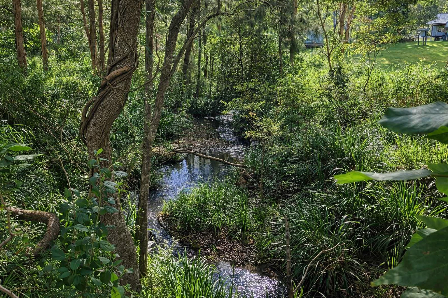 226 Rolley Road, Wondecla