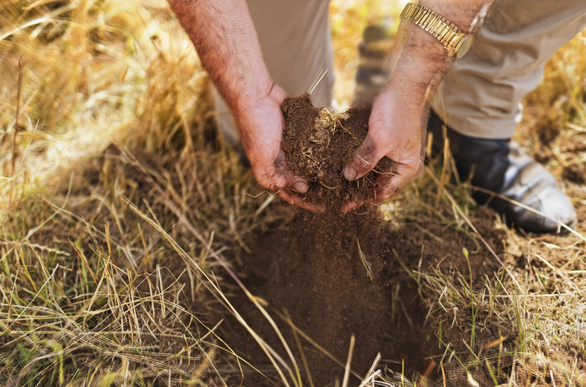 496 Blackwood Creek Road (access via Hodgetts Road), Blackwood Creek