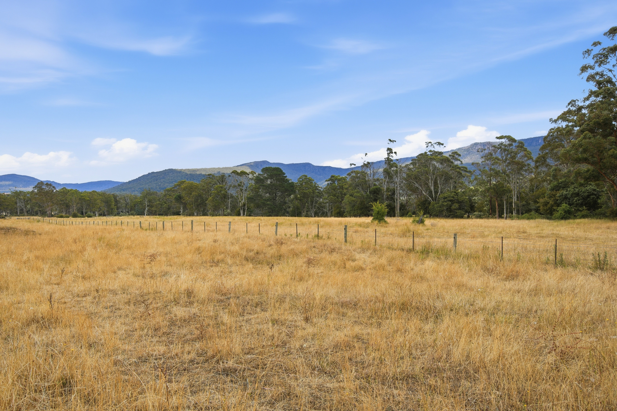 496 Blackwood Creek Road (access via Hodgetts Road), Blackwood Creek