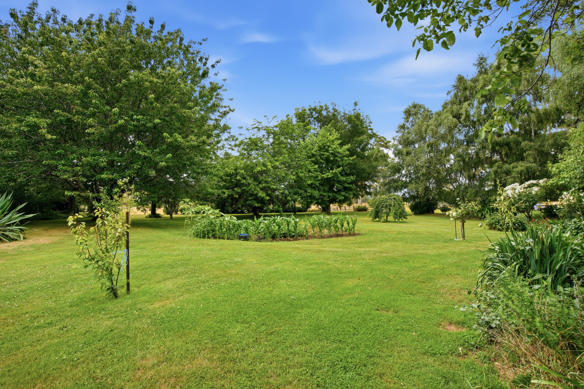 496 Blackwood Creek Road (access via Hodgetts Road), Blackwood Creek