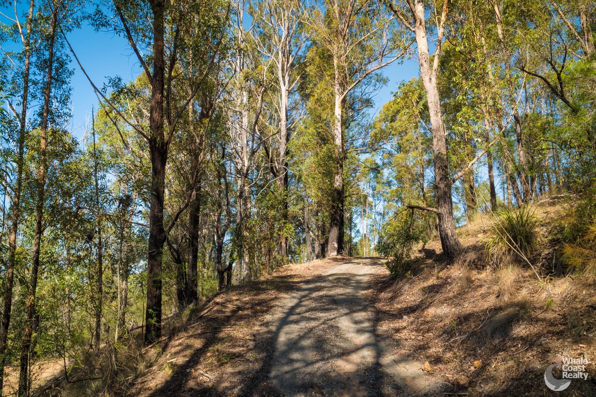 Lot 22 Barrabaroo Road, Cobargo