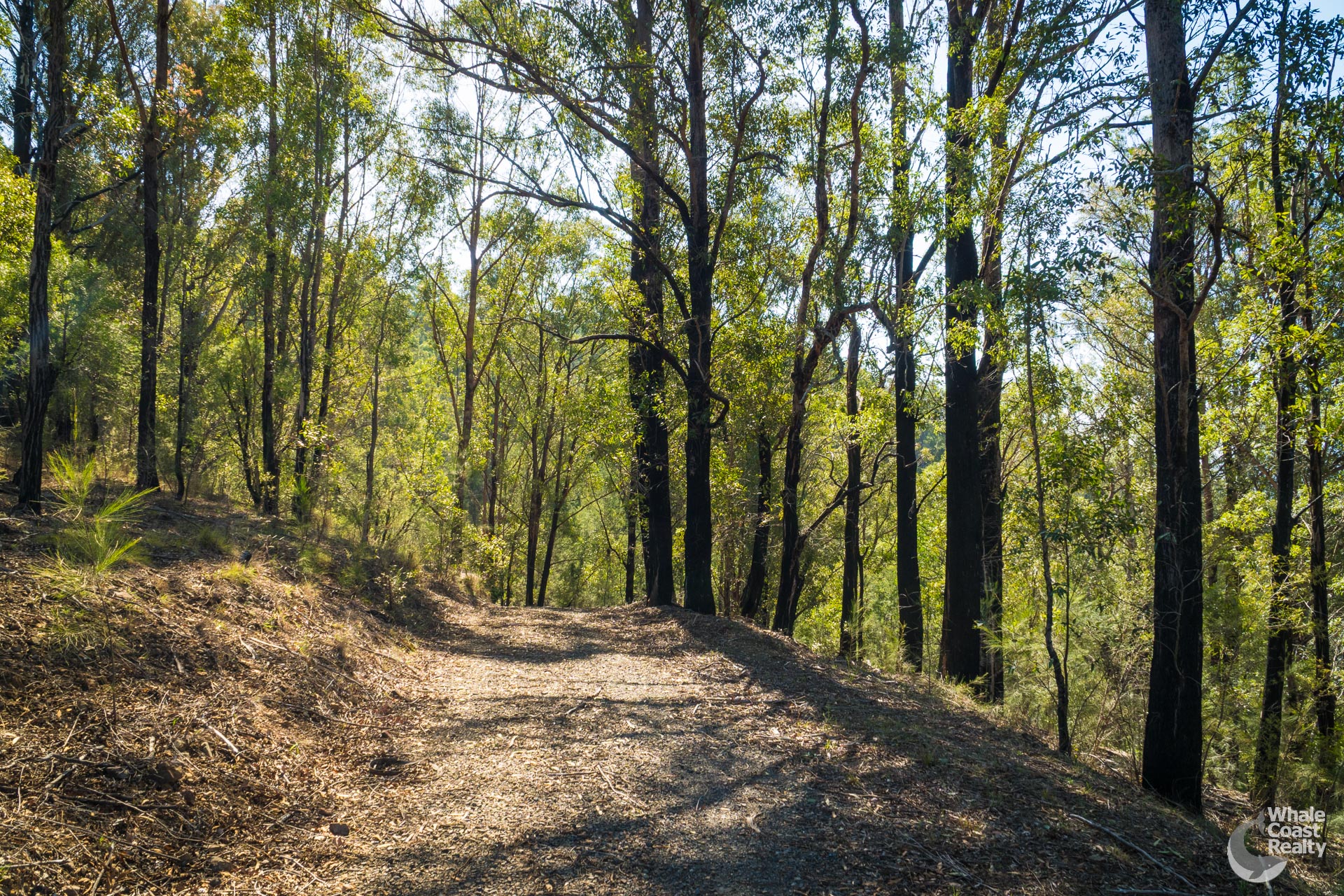 Lot 22 Barrabaroo Road, Cobargo