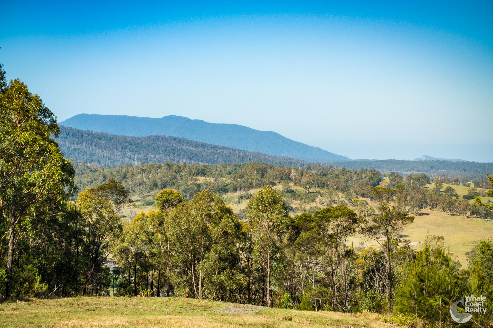 Lot 22 Barrabaroo Road, Cobargo