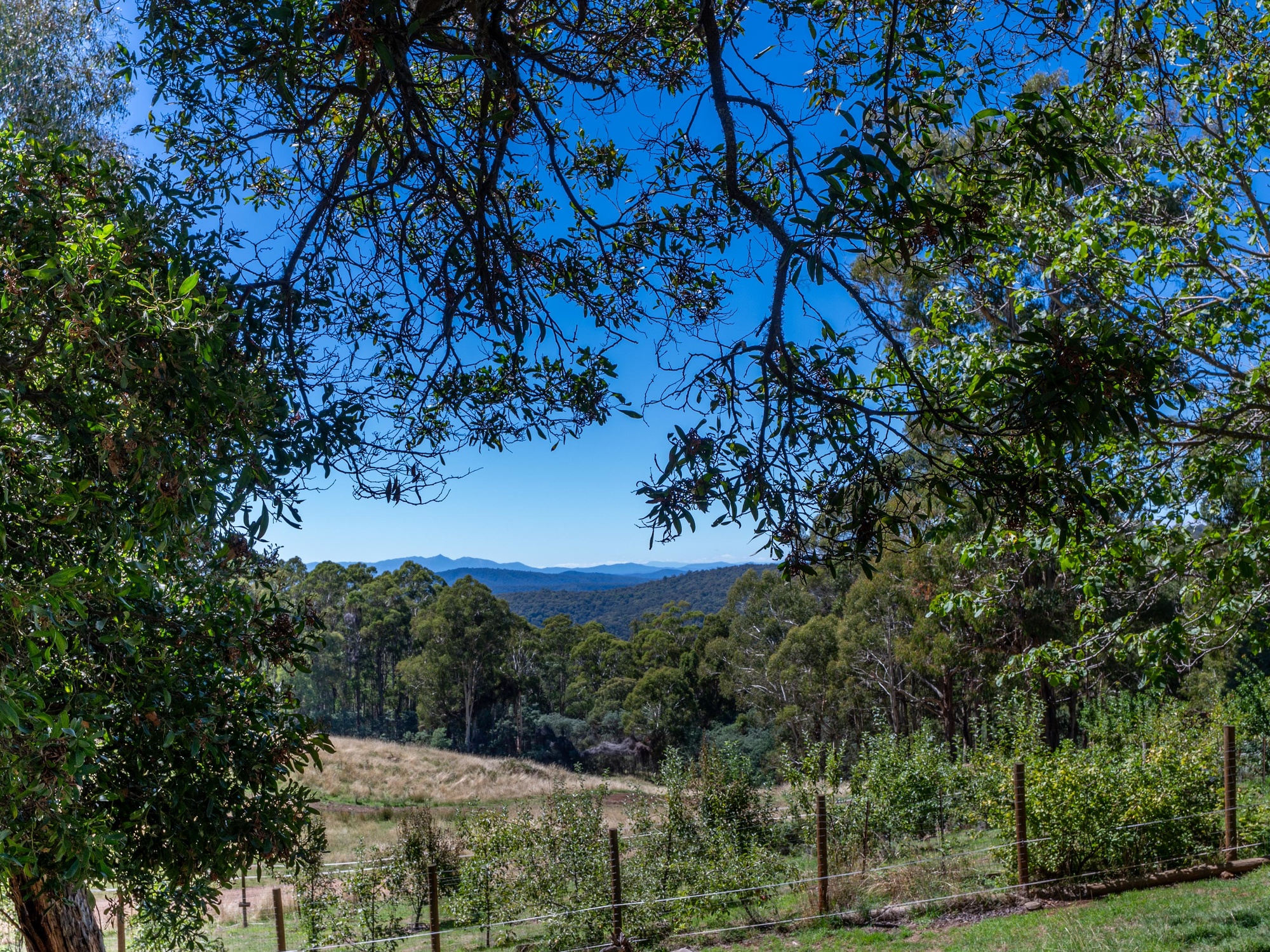 696 Cambatong Road, Tolmie