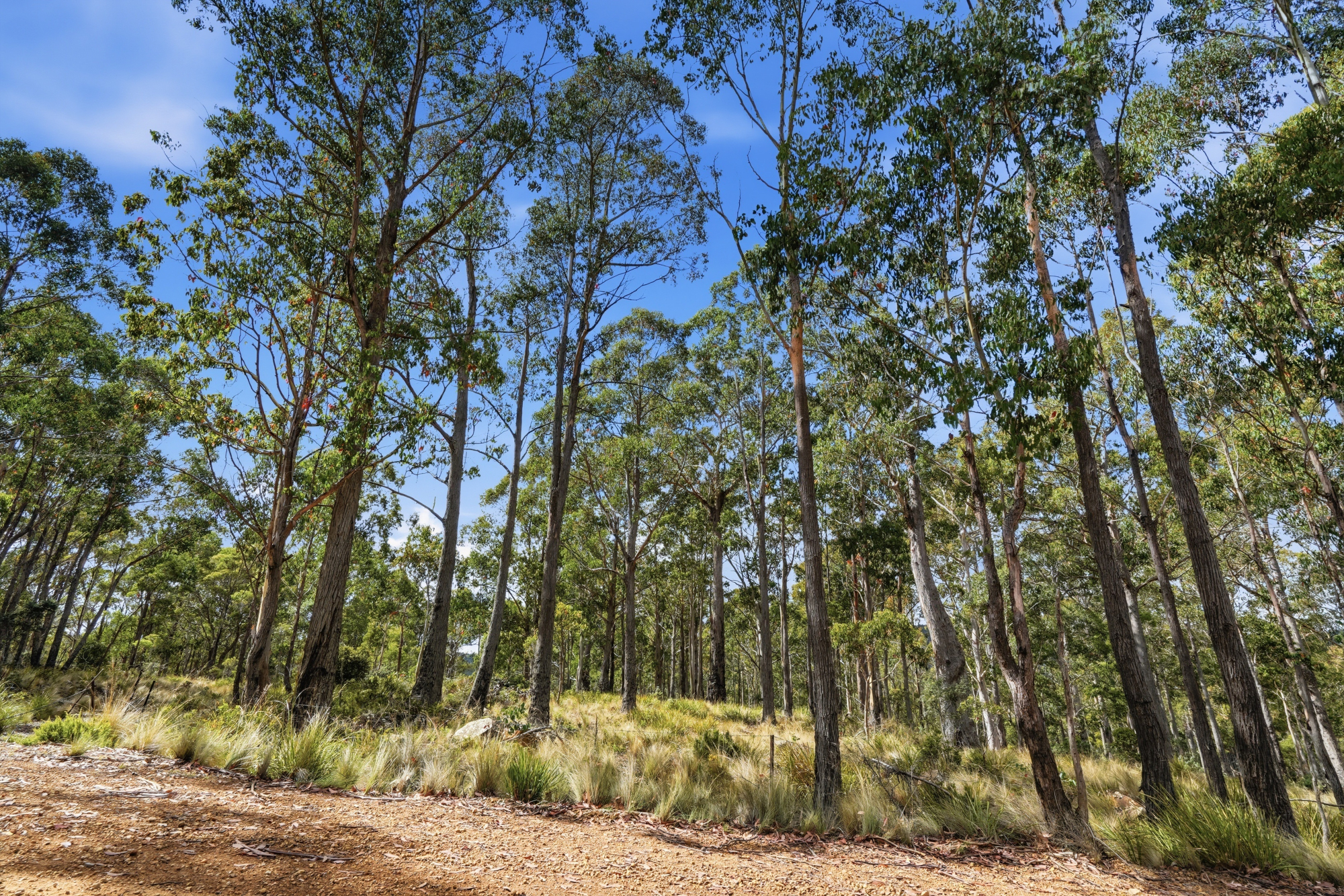 18 Little Spit Road, Lake Leake