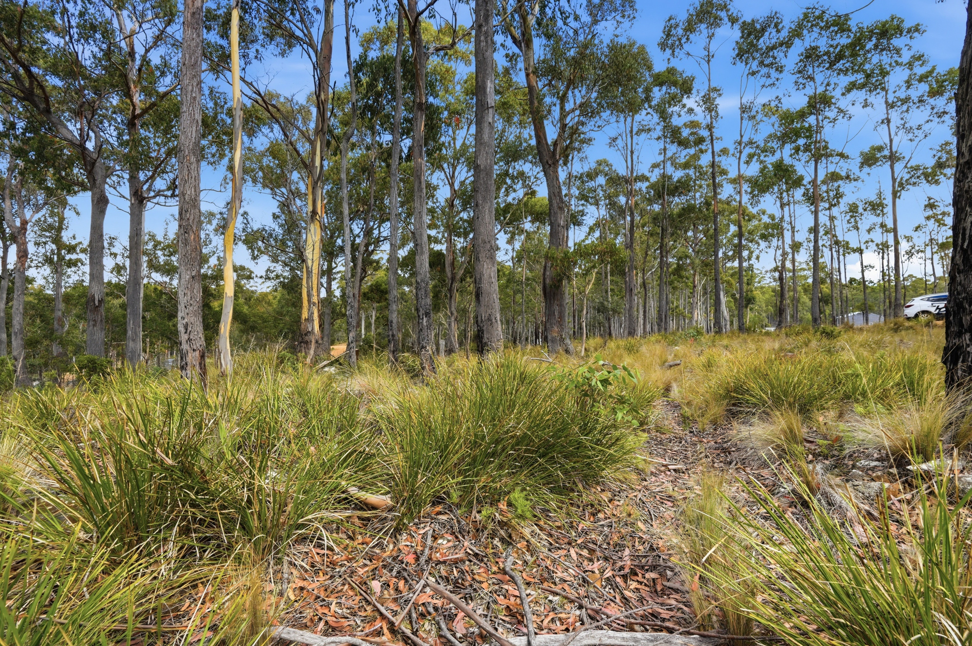 18 Little Spit Road, Lake Leake