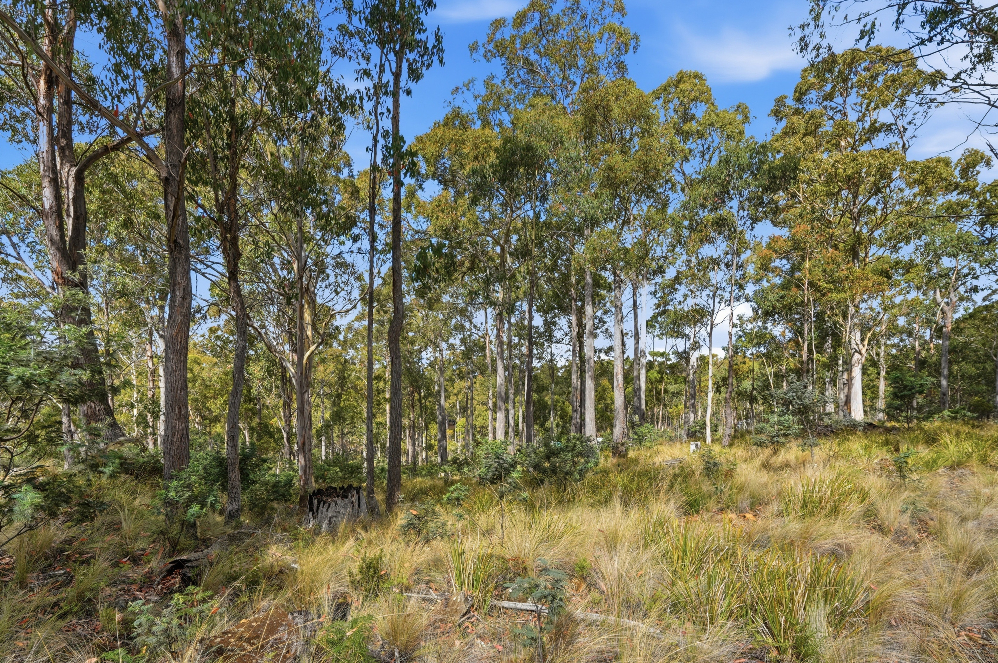 18 Little Spit Road, Lake Leake