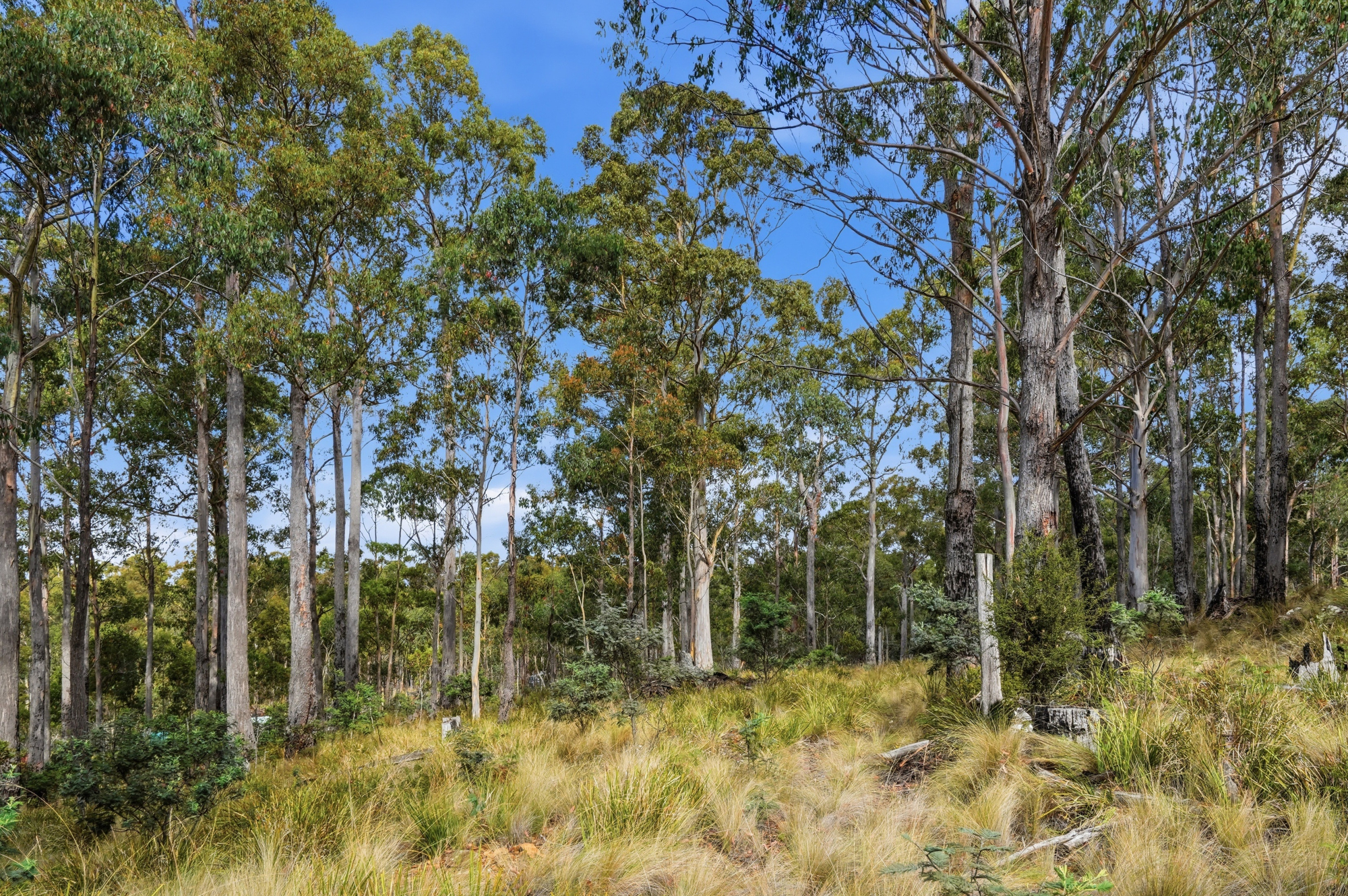 18 Little Spit Road, Lake Leake